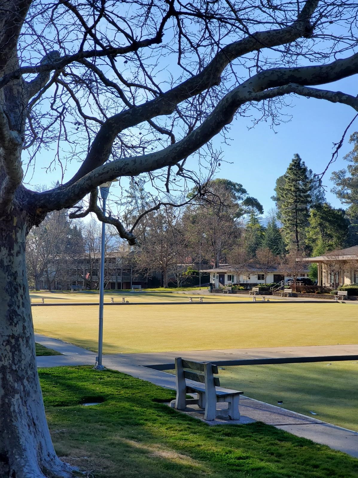 Photo #37: 41122505 Listing: Photo #37