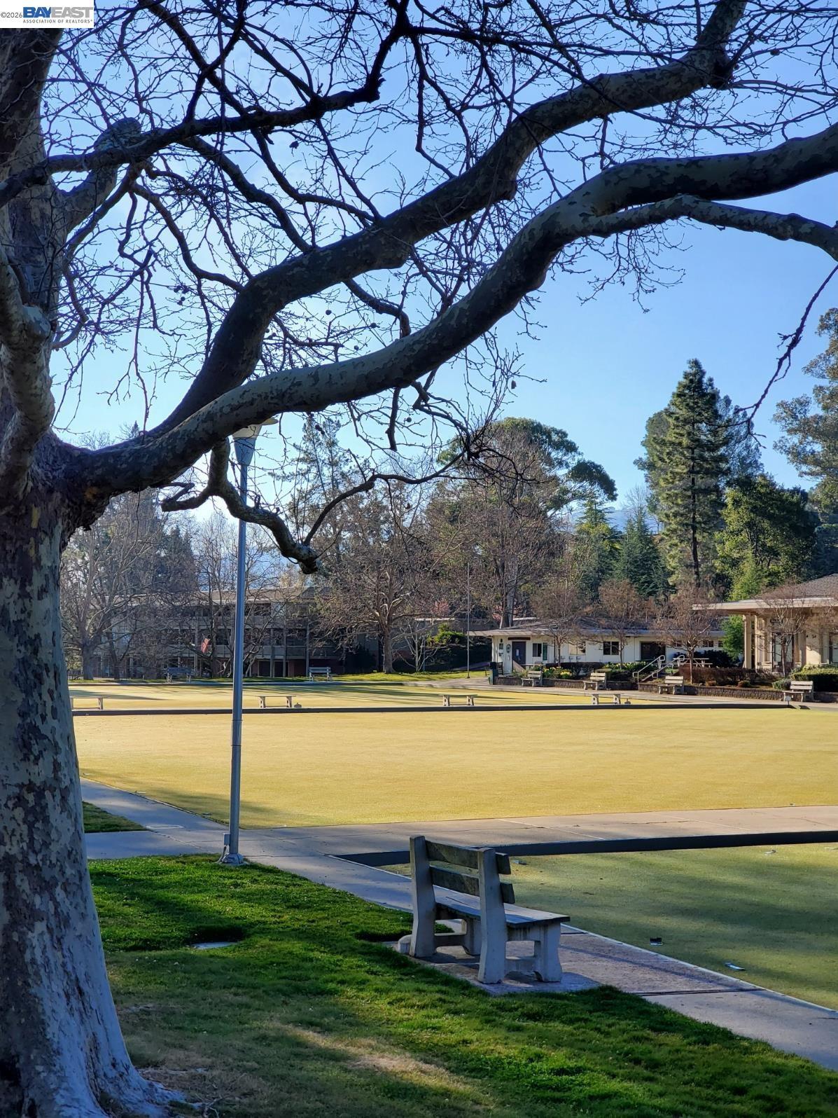 Photo #38: 41122505 Listing: Photo #38