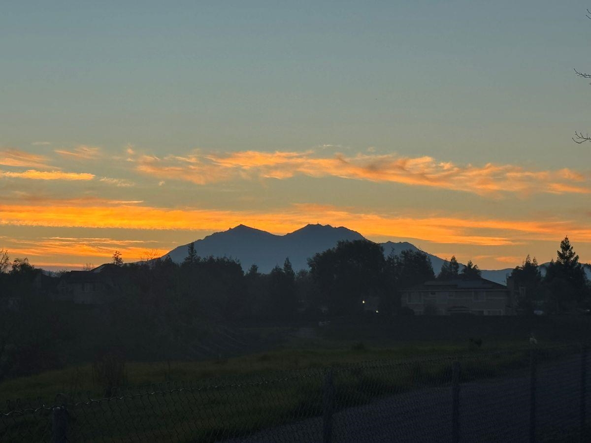 Detail Gallery Image 41 of 41 For 1517 Buena Vista St, Brentwood,  CA 94513 - 5 Beds | 3 Baths