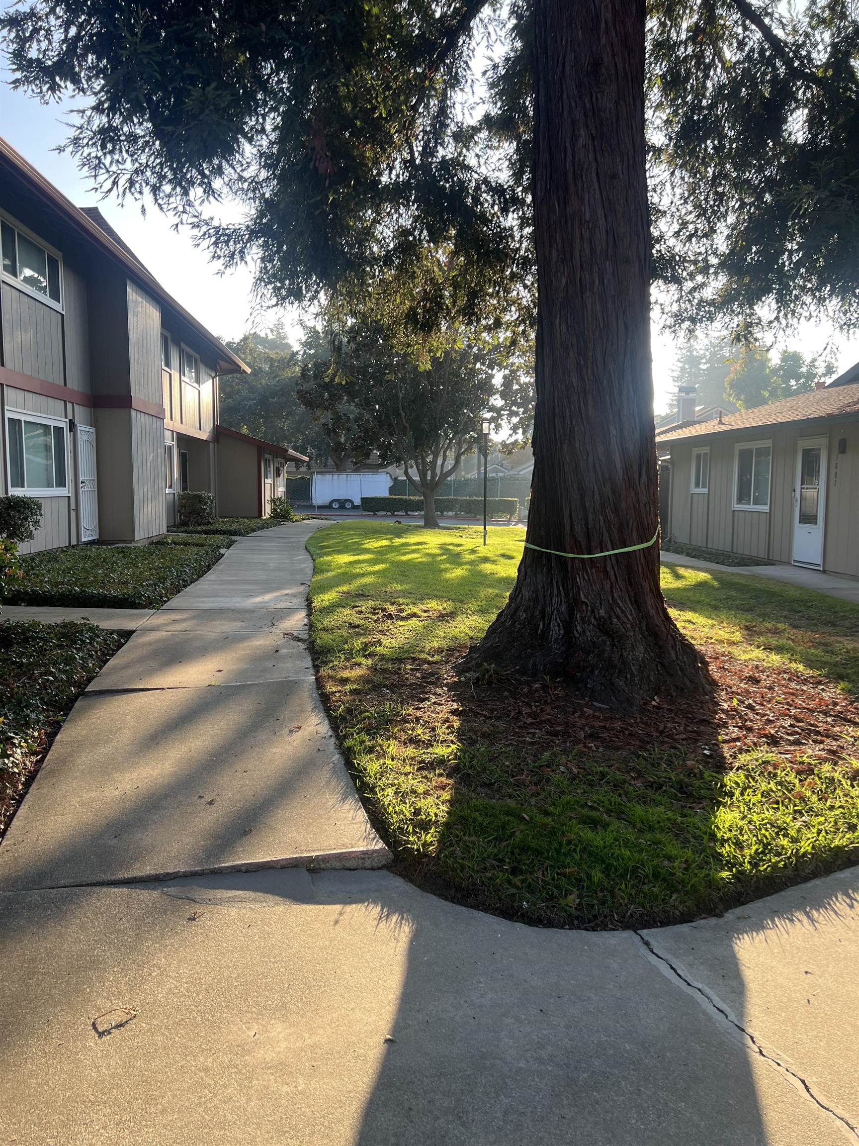 Photo #26: 41122562 Listing: Photo #26