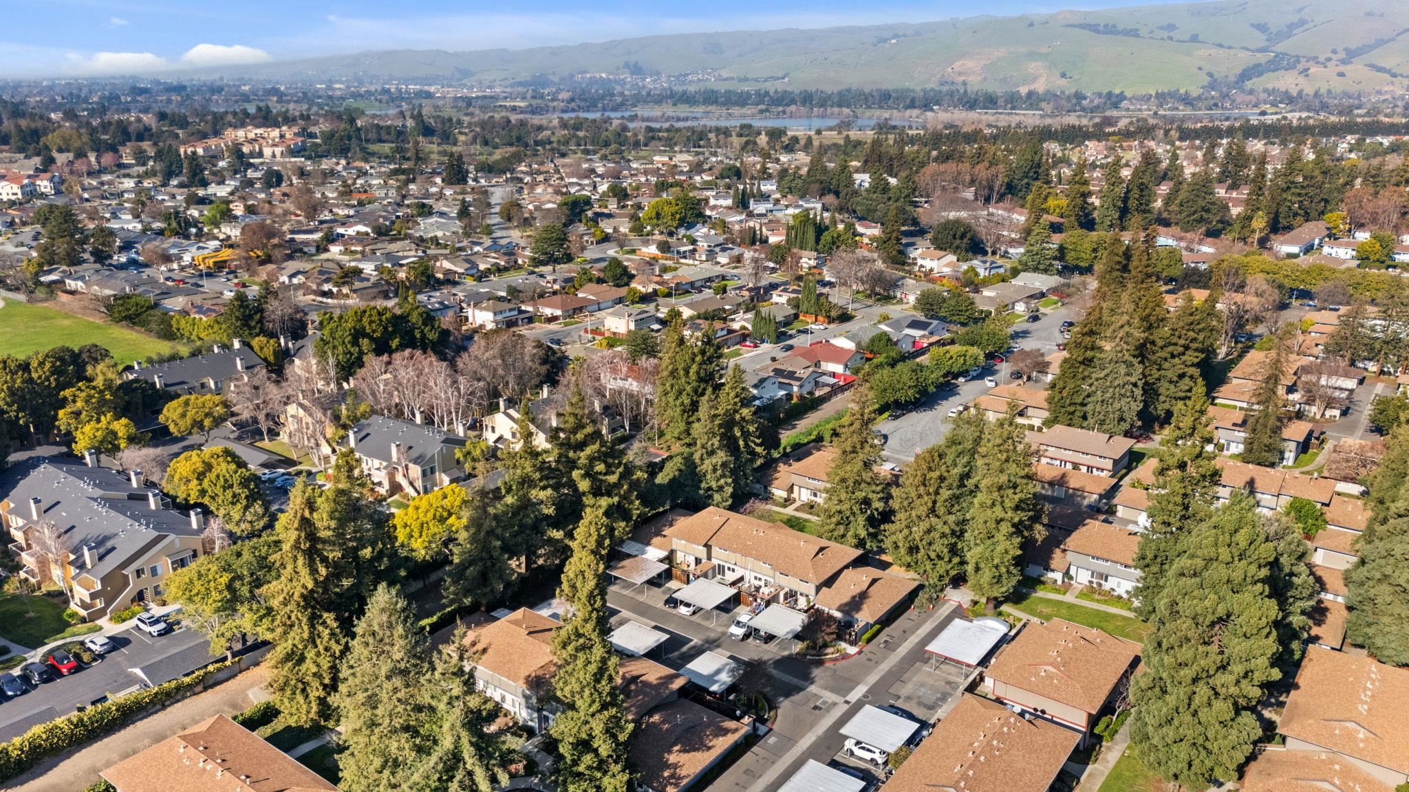 Photo #38: 41122562 Listing: Photo #38