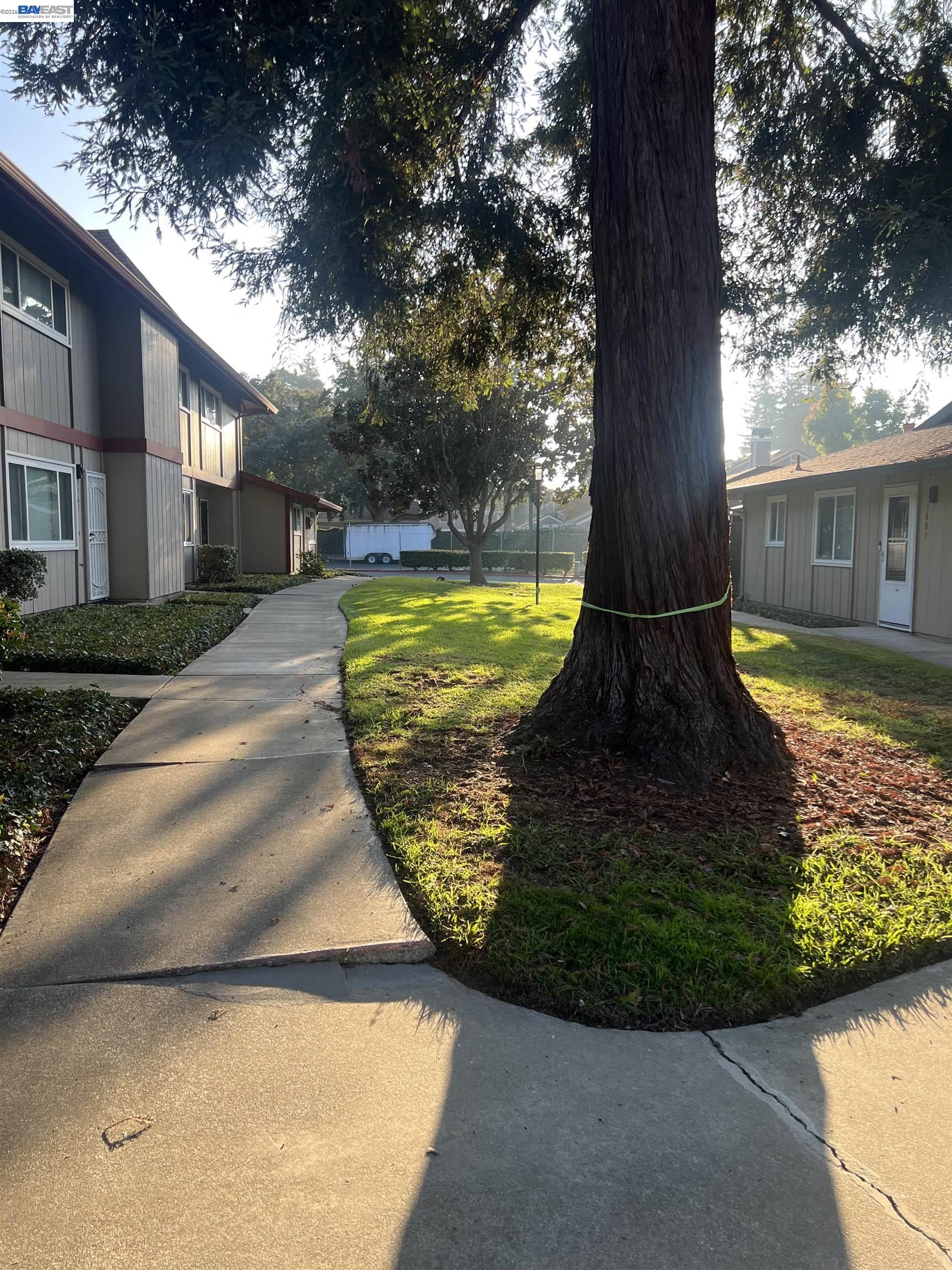 Photo #39: 41122562 Listing: Photo #39