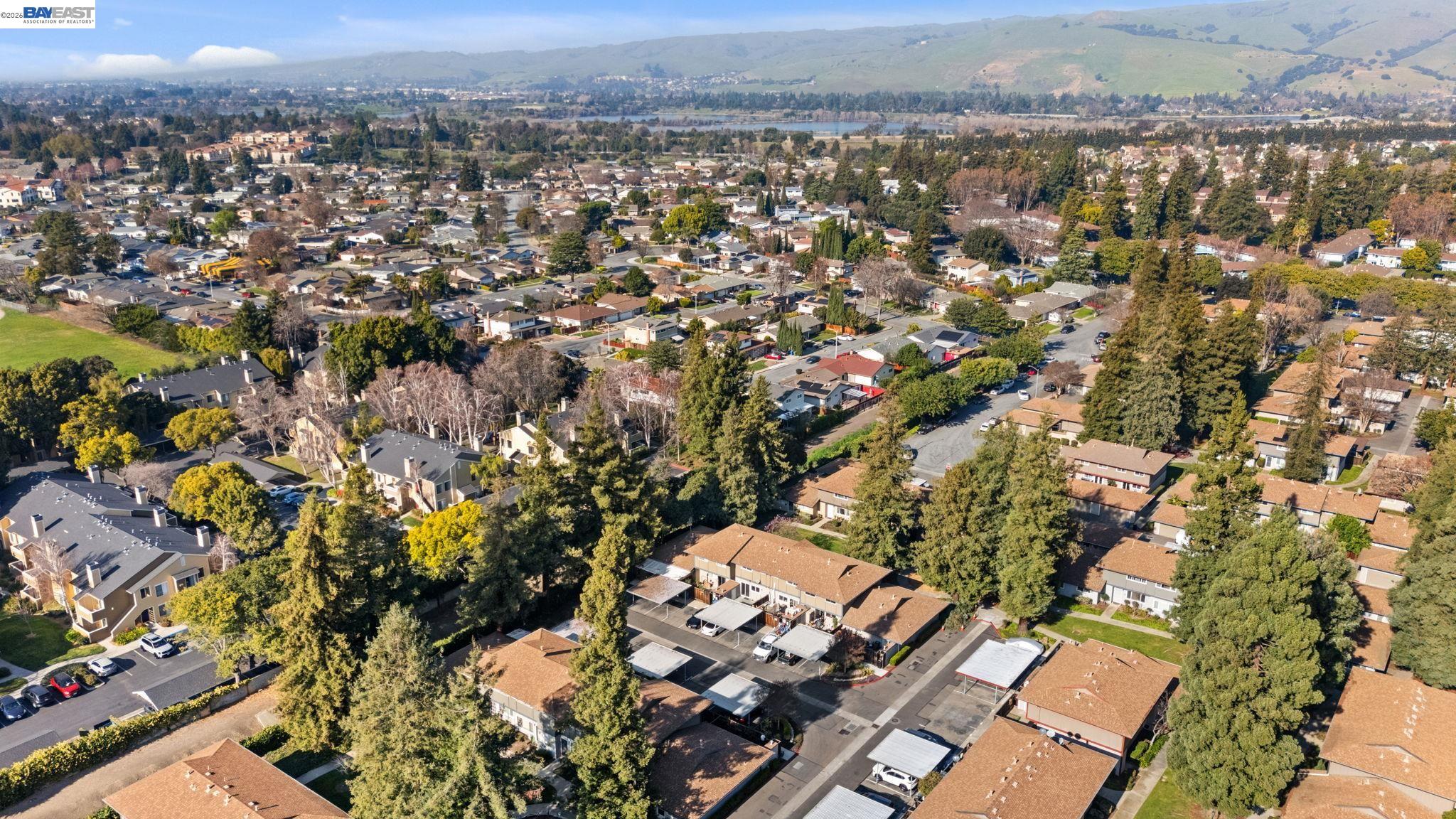 Photo #50: 41122562 Listing: Photo #50