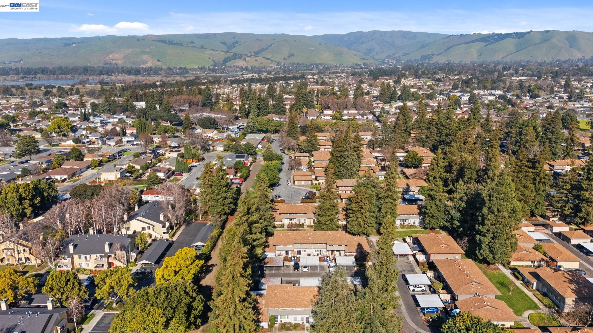 Photo #51: 41122562 Listing: Photo #51