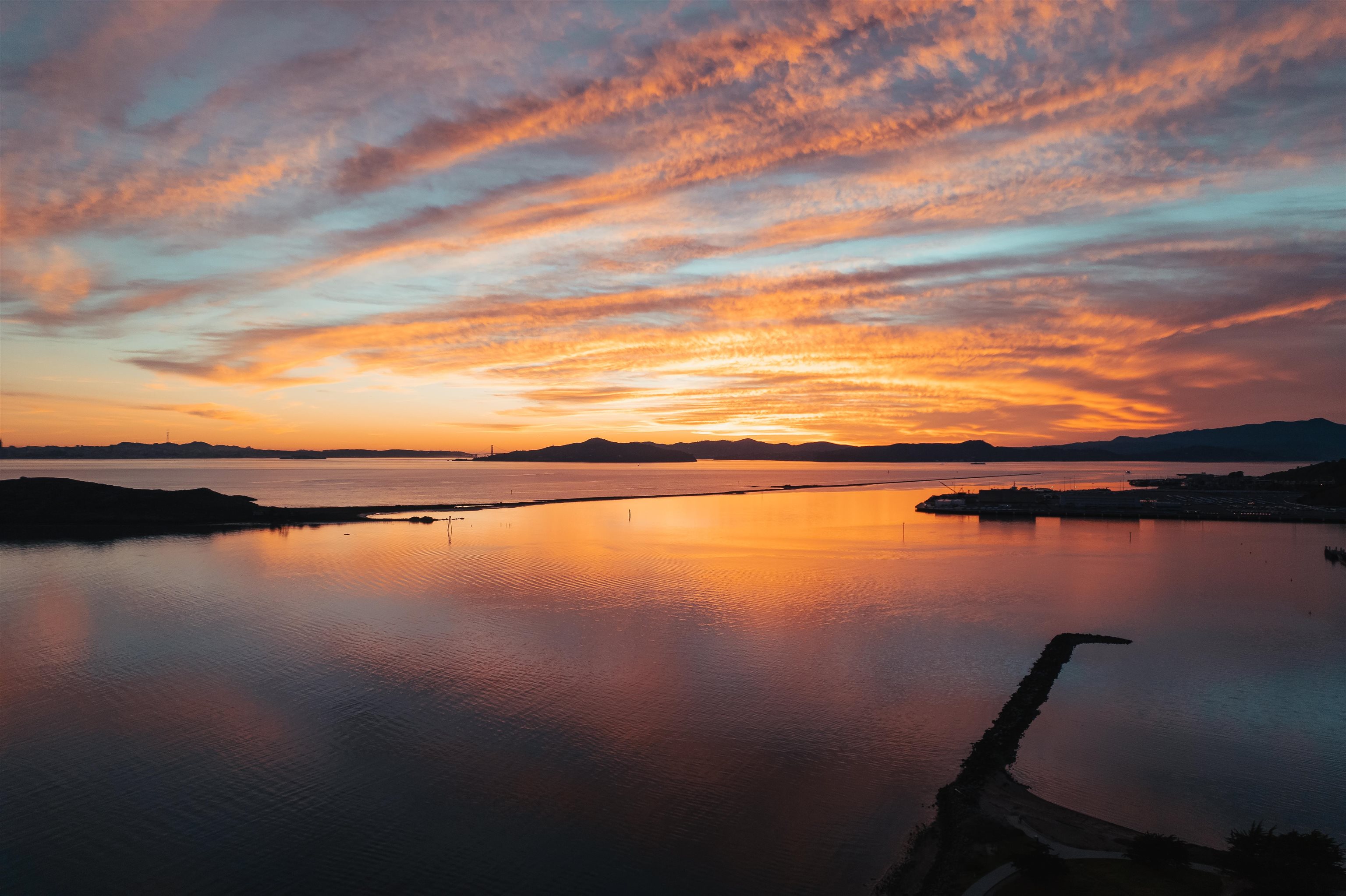 Photo #45: 41122575 Listing: Photo #45