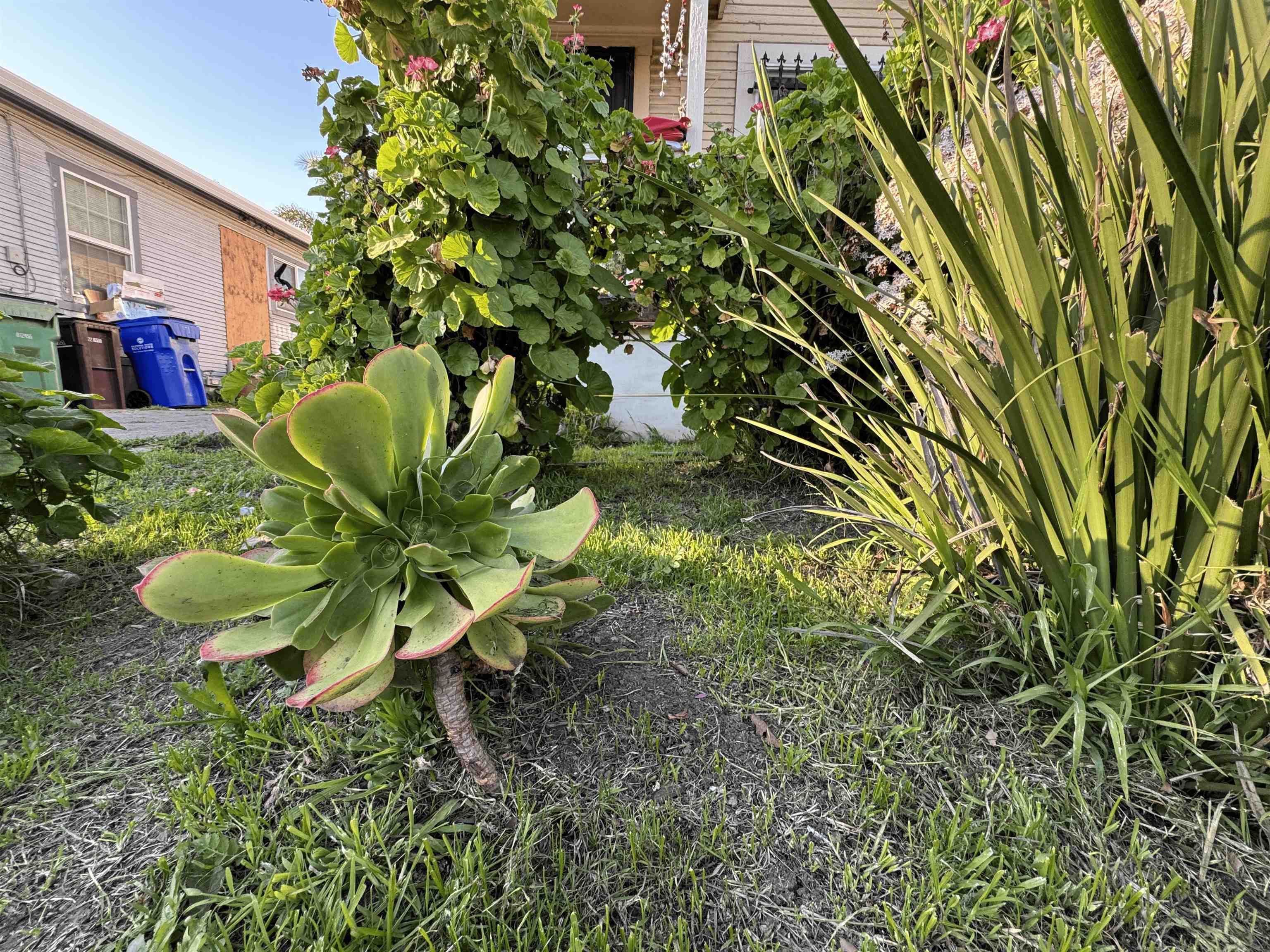 Detail Gallery Image 17 of 18 For 1823 Church St, Oakland,  CA 94621 - 2 Beds | 2 Baths