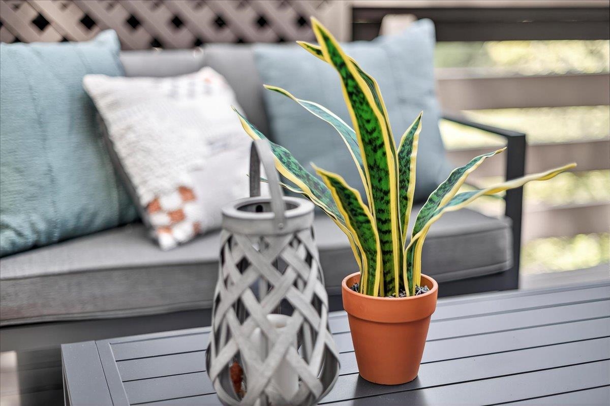 Photo #15: 41122591 Listing: Photo #15