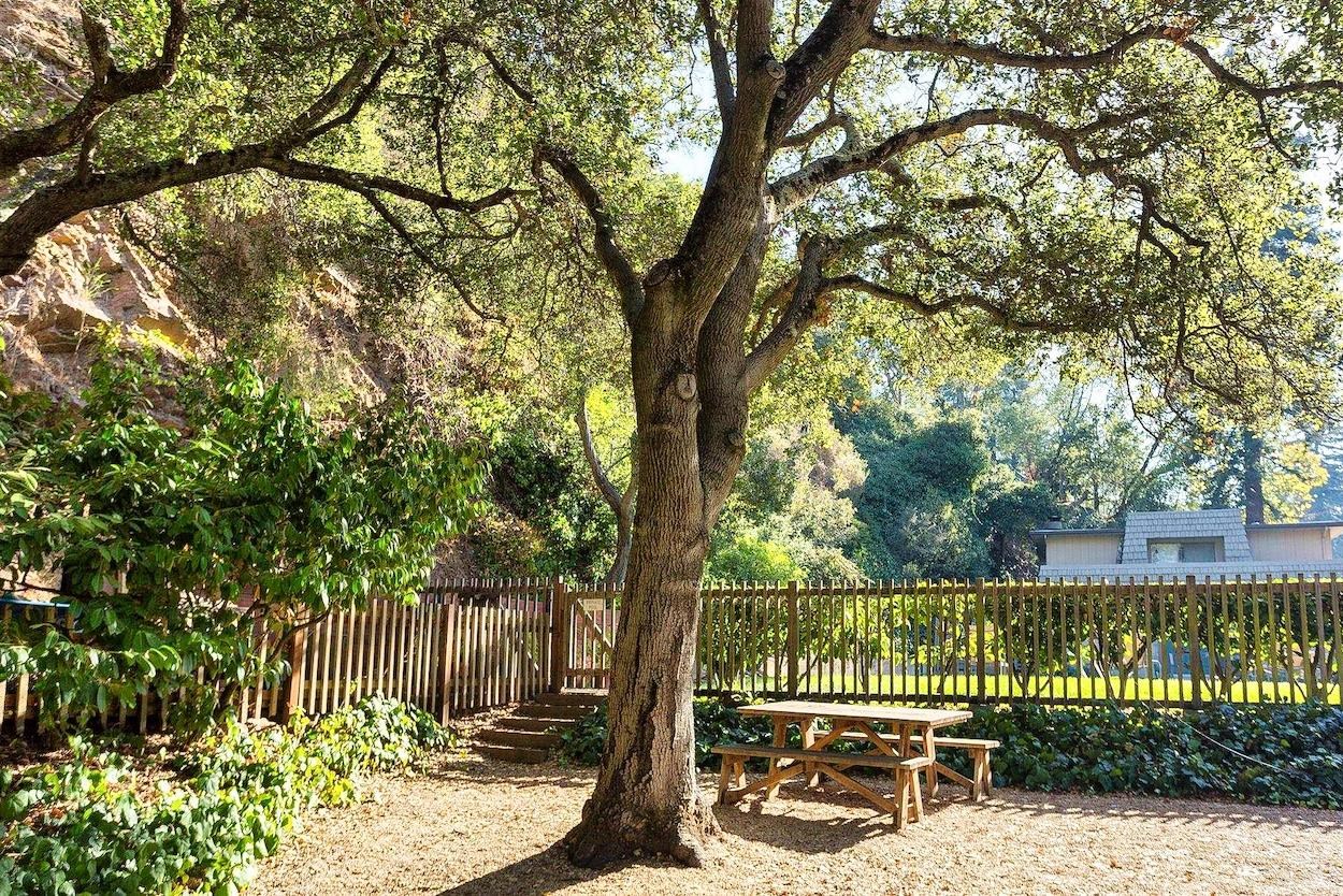 Photo #50: 41122591 Listing: Photo #50