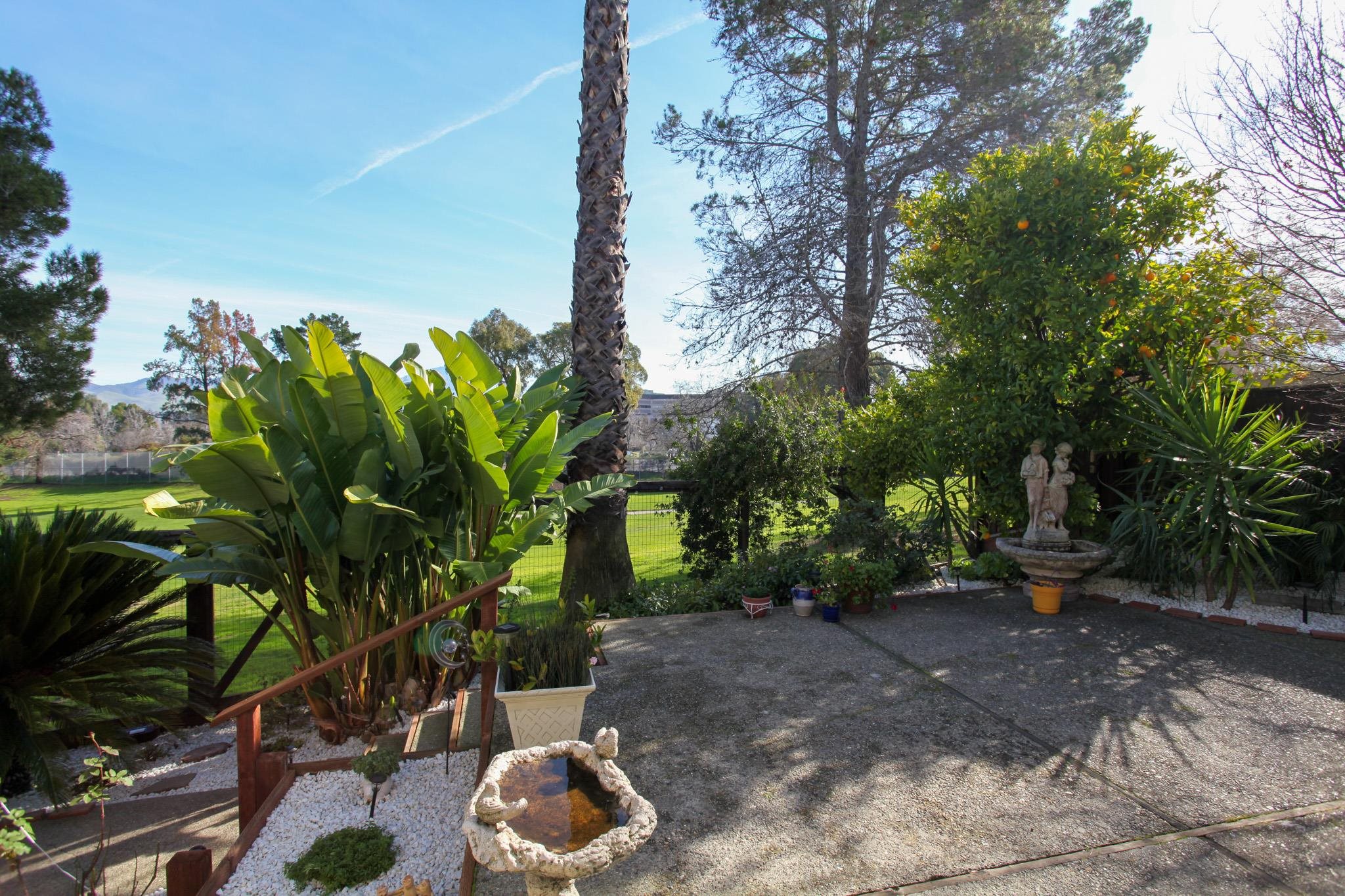 Detail Gallery Image 34 of 54 For 1632 Siskiyou Dr, Walnut Creek,  CA 94598 - 3 Beds | 2/1 Baths