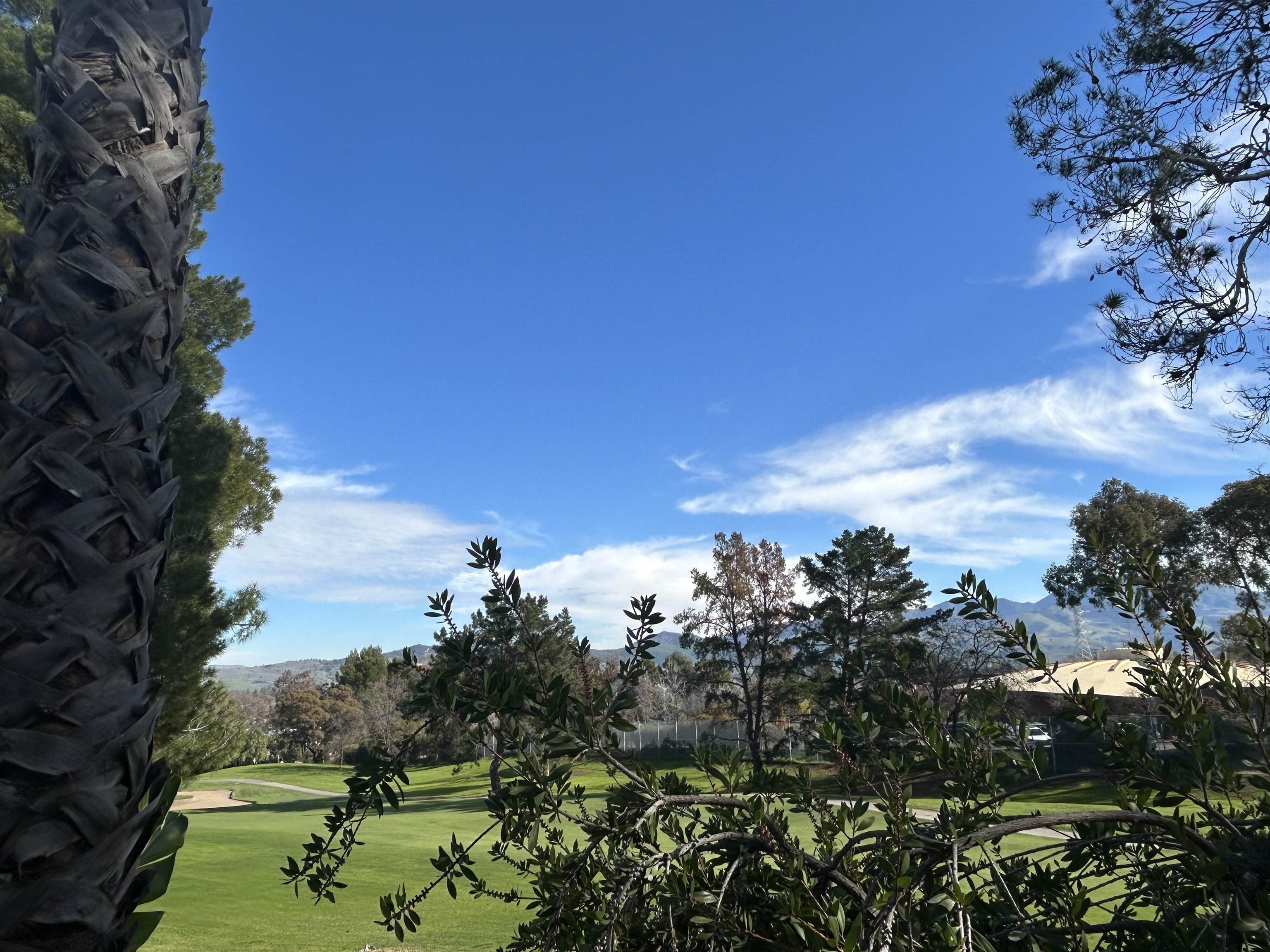 Detail Gallery Image 36 of 54 For 1632 Siskiyou Dr, Walnut Creek,  CA 94598 - 3 Beds | 2/1 Baths