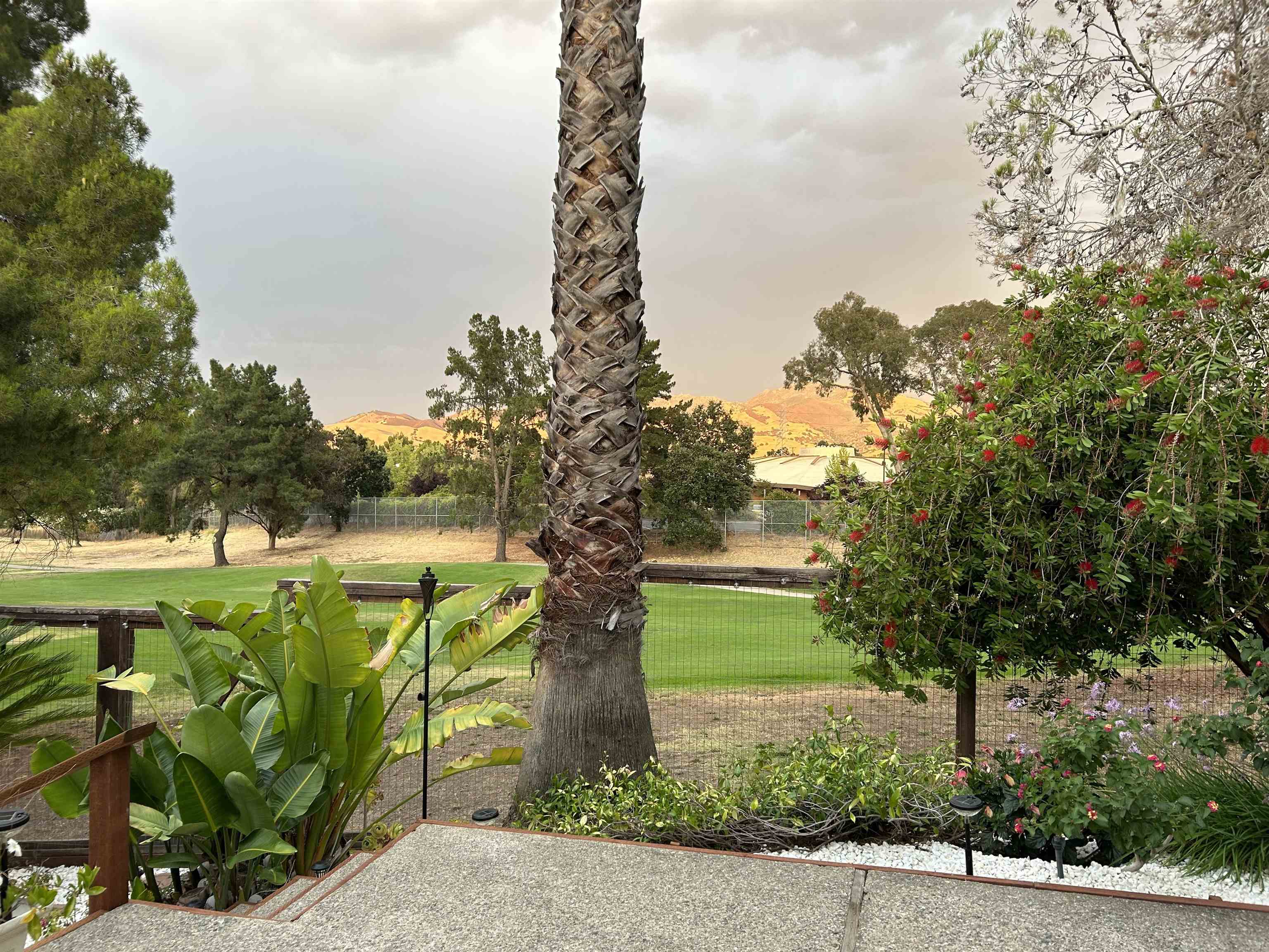 Detail Gallery Image 50 of 54 For 1632 Siskiyou Dr, Walnut Creek,  CA 94598 - 3 Beds | 2/1 Baths