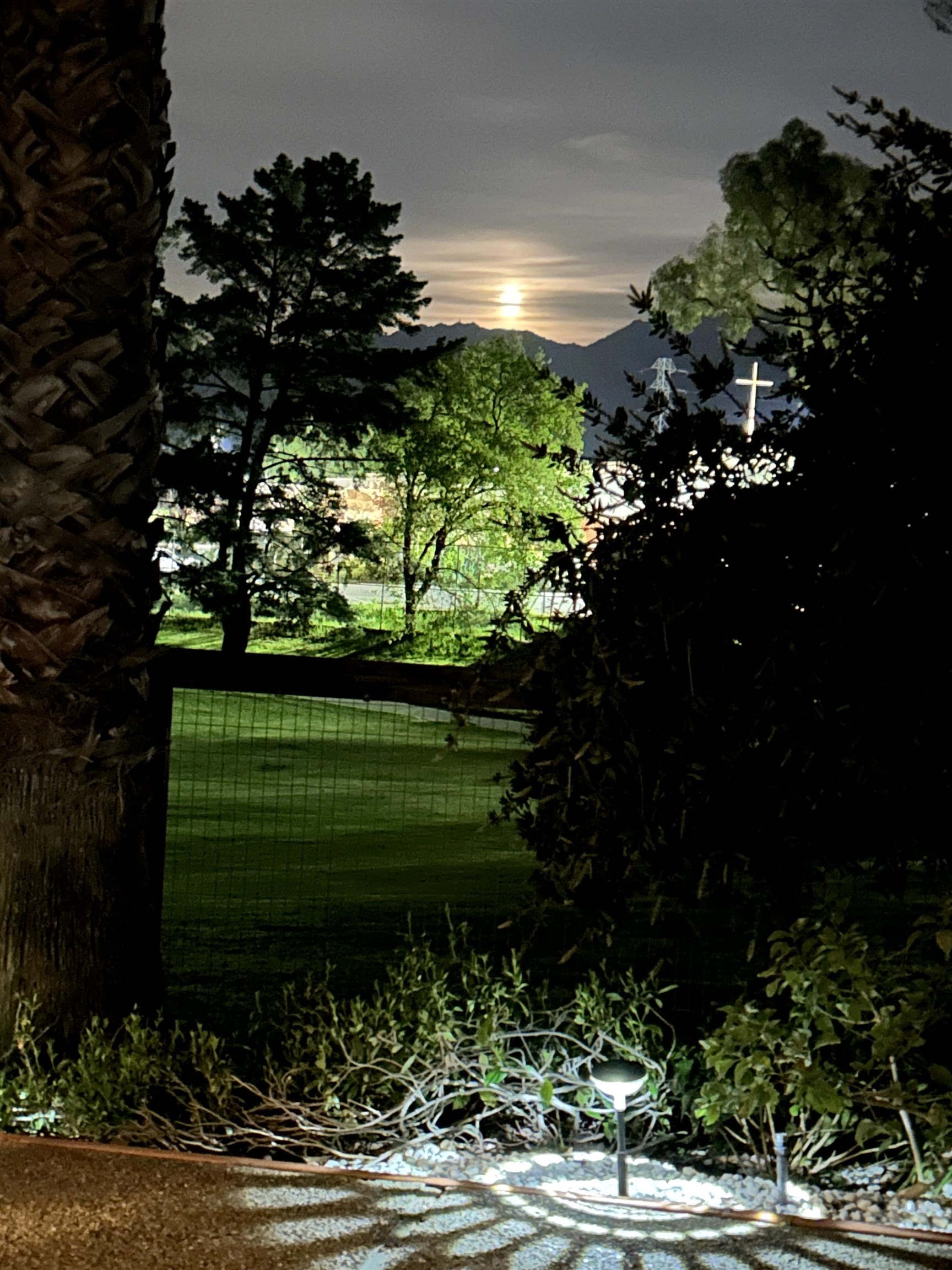 Detail Gallery Image 51 of 54 For 1632 Siskiyou Dr, Walnut Creek,  CA 94598 - 3 Beds | 2/1 Baths