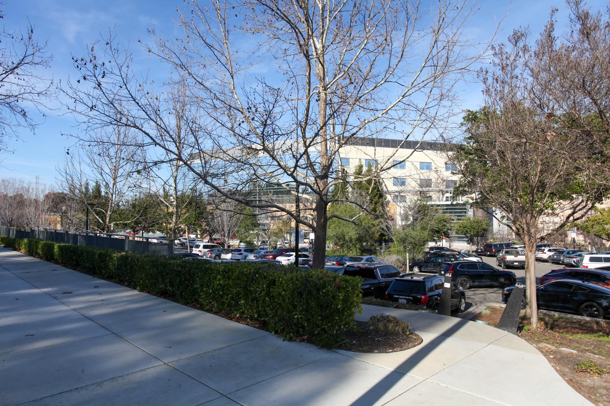 Detail Gallery Image 53 of 54 For 1632 Siskiyou Dr, Walnut Creek,  CA 94598 - 3 Beds | 2/1 Baths