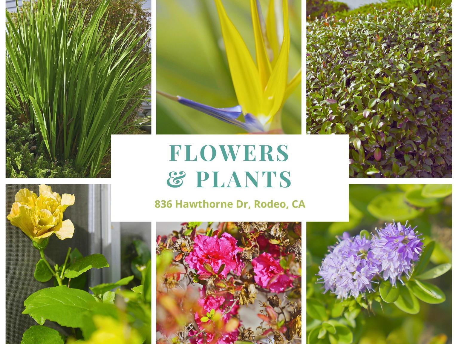 Detail Gallery Image 47 of 60 For 836 Hawthorne Dr, Rodeo,  CA 94572 - 4 Beds | 2 Baths