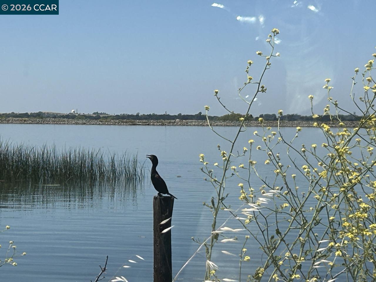 Front Image Thumbnail for CC41122634