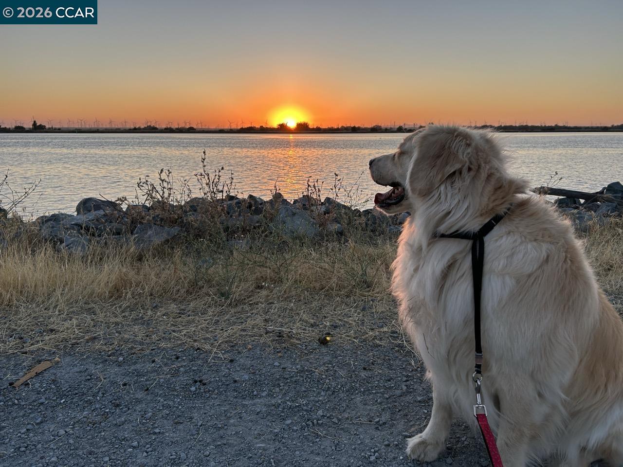 Detail Gallery Image 9 of 10 For 1 Bradford Island Rd, Oakley,  CA 94561 - – Beds | – Baths