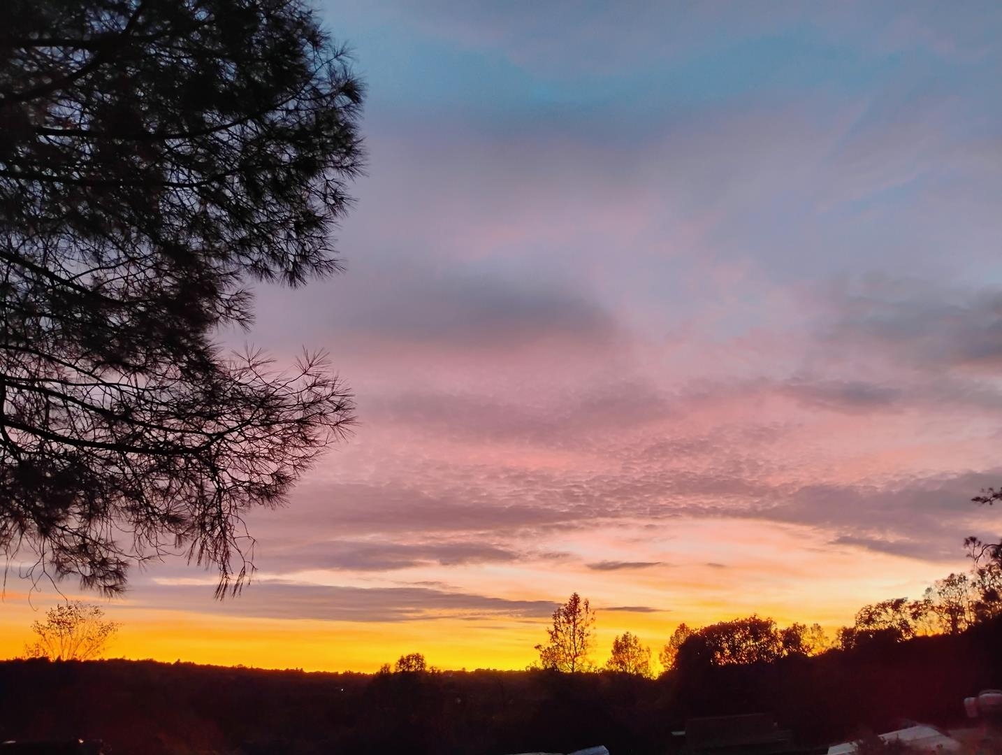 Detail Gallery Image 2 of 7 For 4083 Green Valley Rd, Rescue,  CA 95726 - – Beds | – Baths