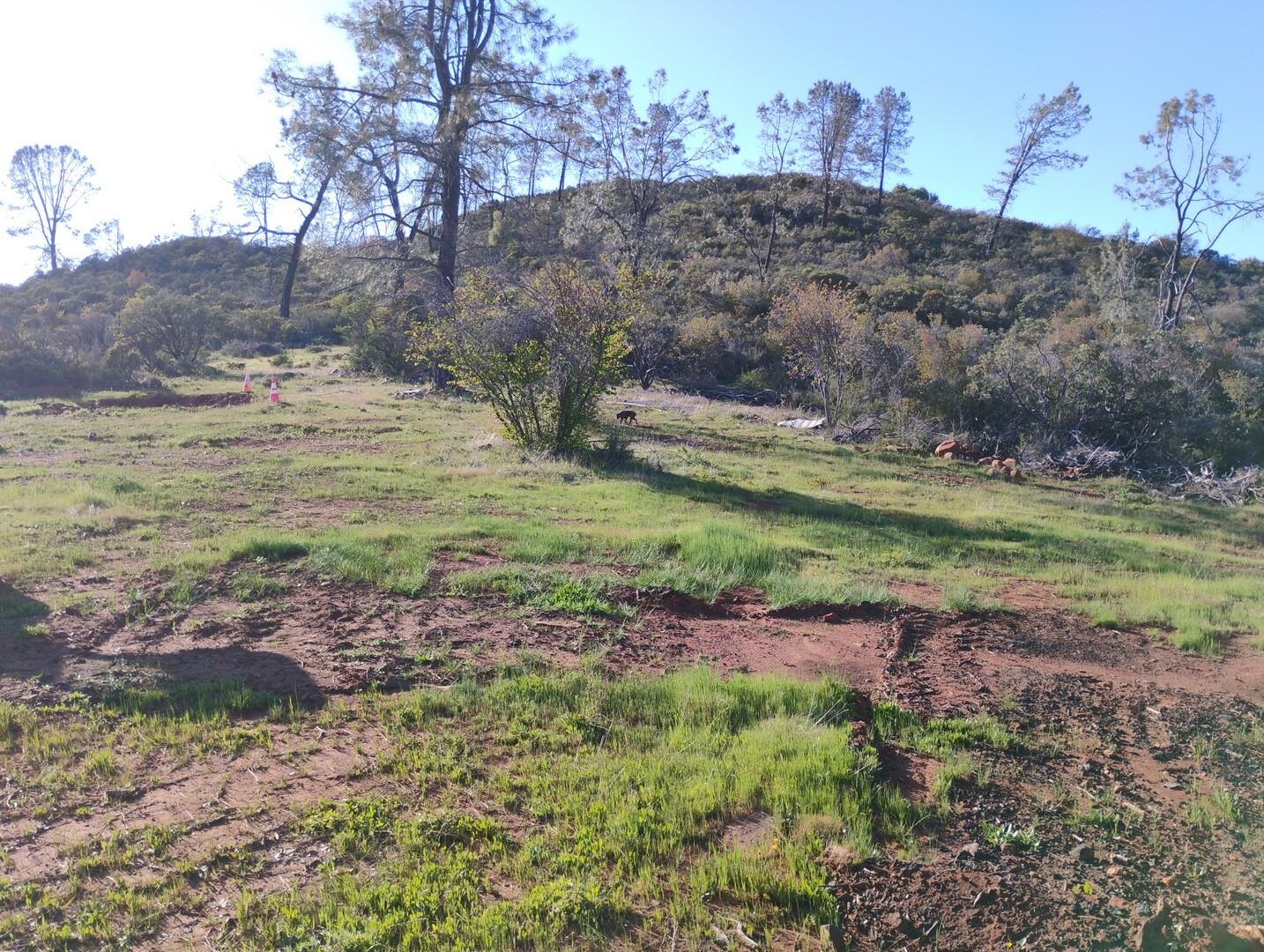 Detail Gallery Image 3 of 7 For 4083 Green Valley Rd, Rescue,  CA 95726 - – Beds | – Baths