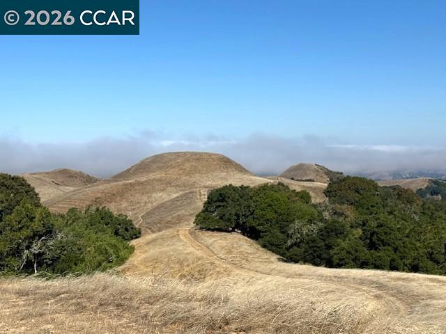 Detail Gallery Image 48 of 52 For 5913 Horsemans Canyon Dr 4c,  Walnut Creek,  CA 94595 - 2 Beds | 2 Baths