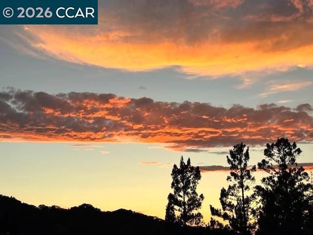 Detail Gallery Image 50 of 52 For 5913 Horsemans Canyon Dr 4c,  Walnut Creek,  CA 94595 - 2 Beds | 2 Baths