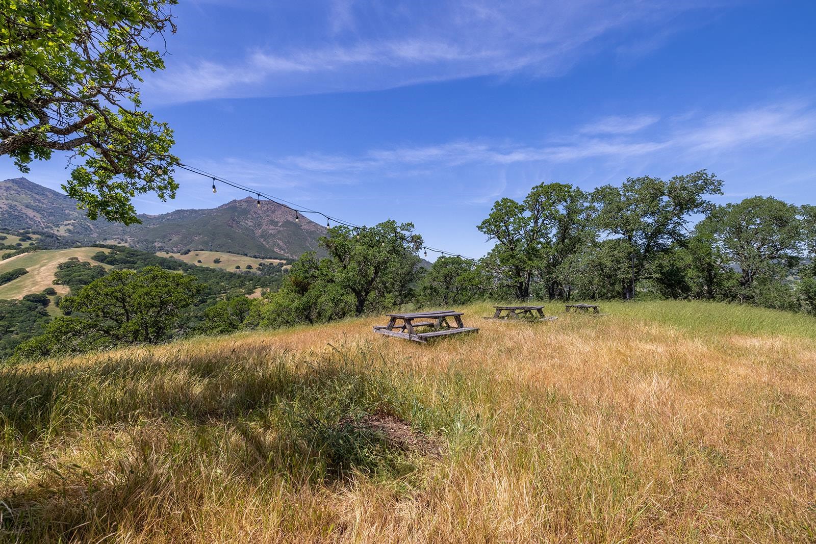 Front Image Thumbnail for EB41122676