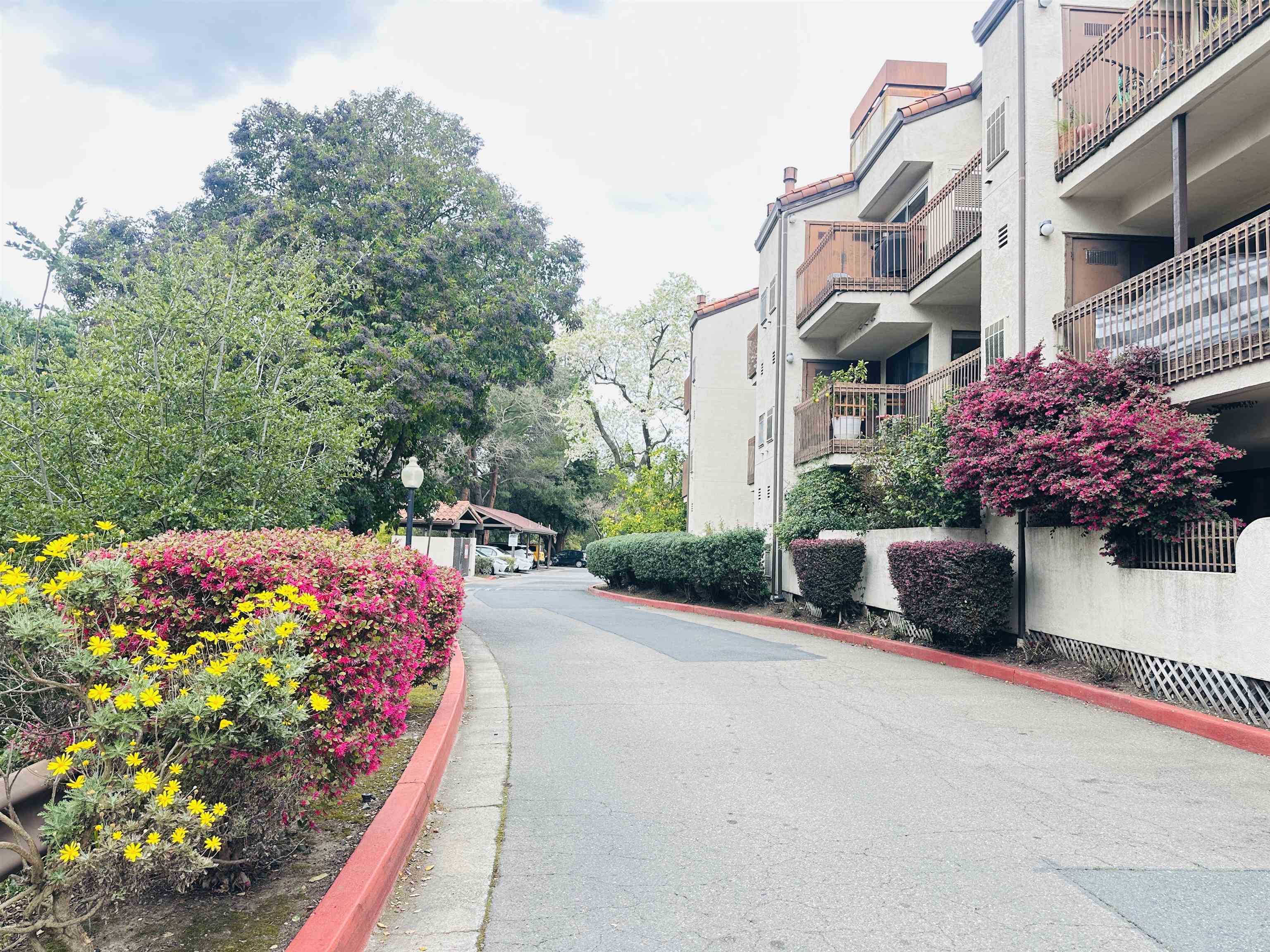 Photo #32: 41122693 Listing: Photo #32