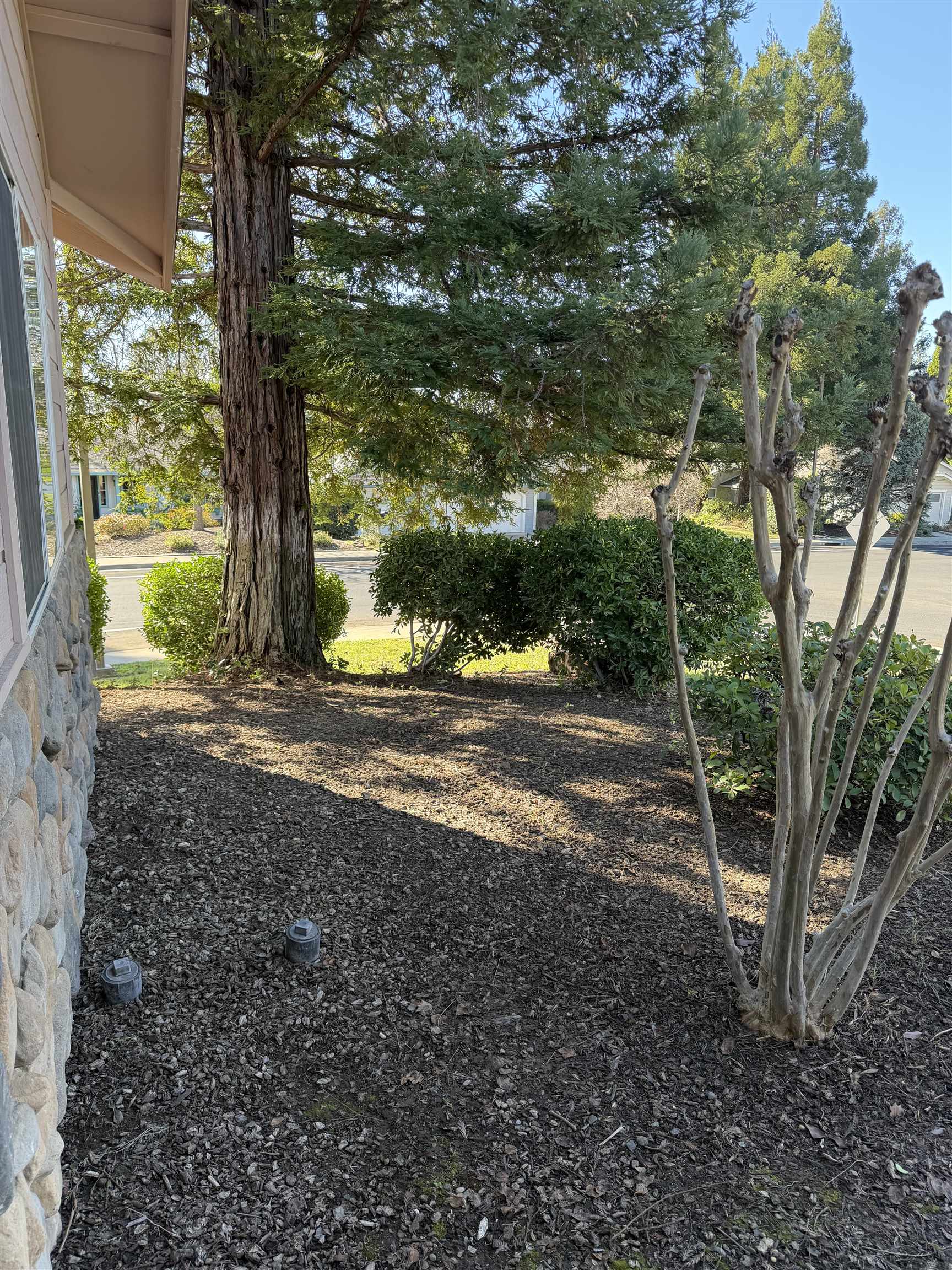 Detail Gallery Image 8 of 44 For 451 Palisades Dr, Chico,  CA 95928 - 4 Beds | 2 Baths