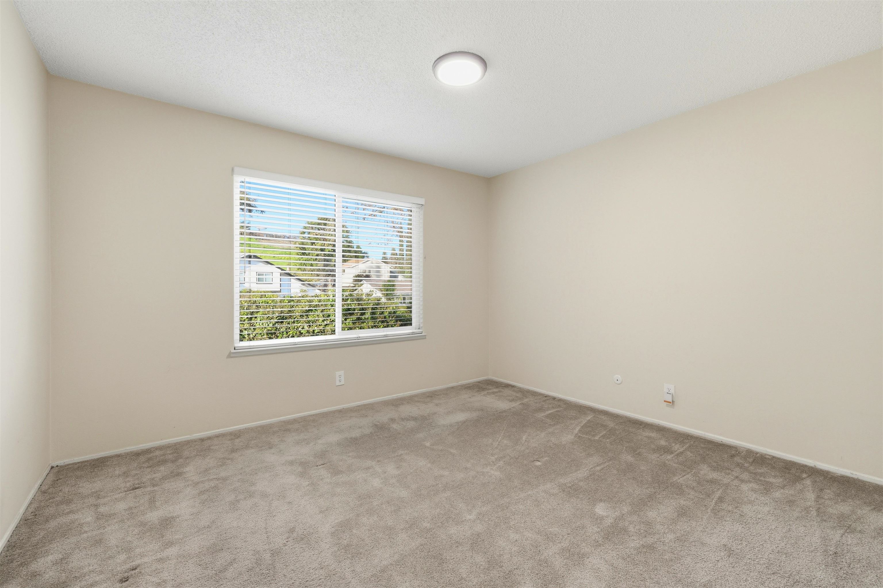 Photo #12: 41122702 Listing: Photo #12