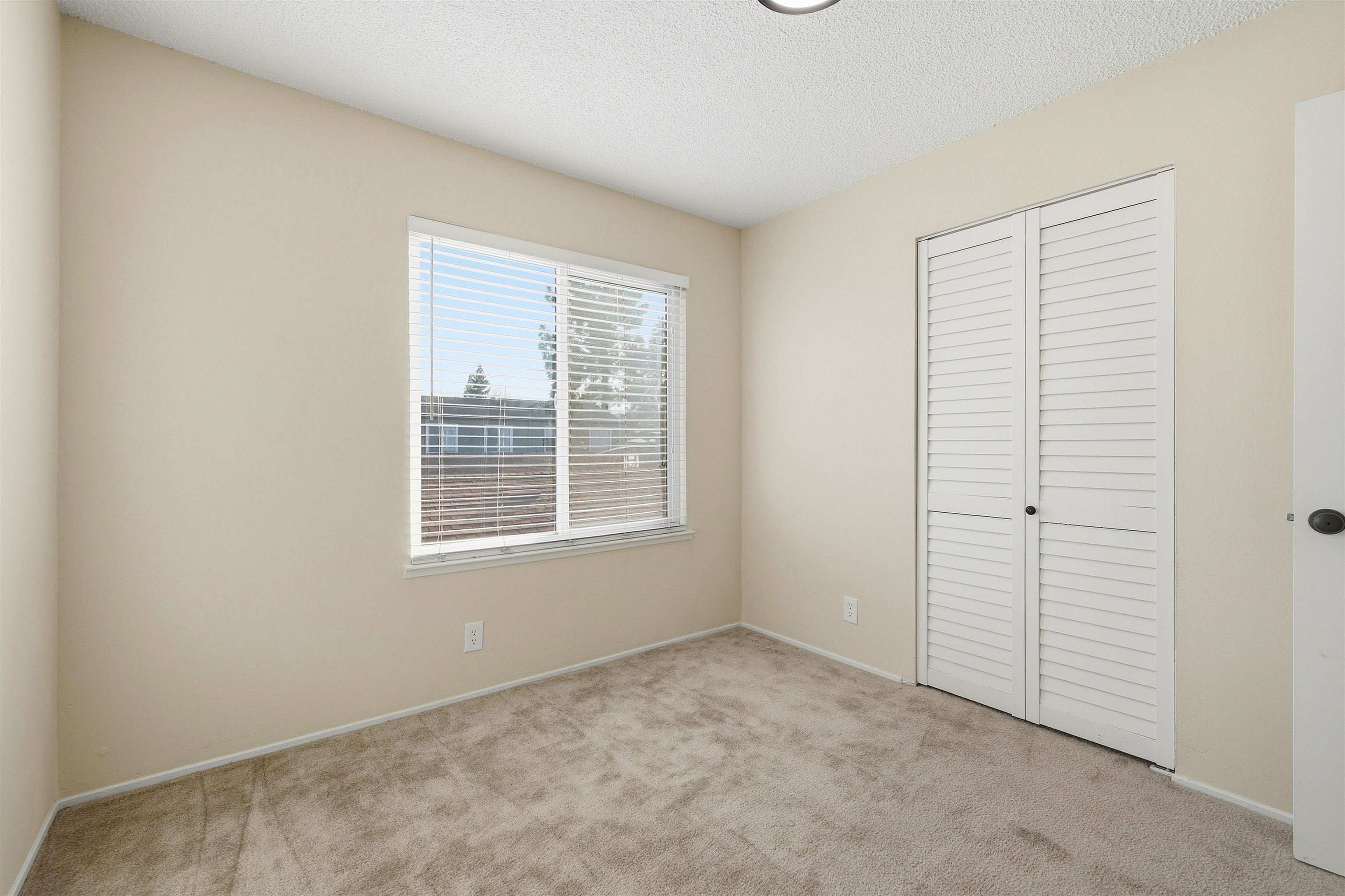 Photo #16: 41122702 Listing: Photo #16