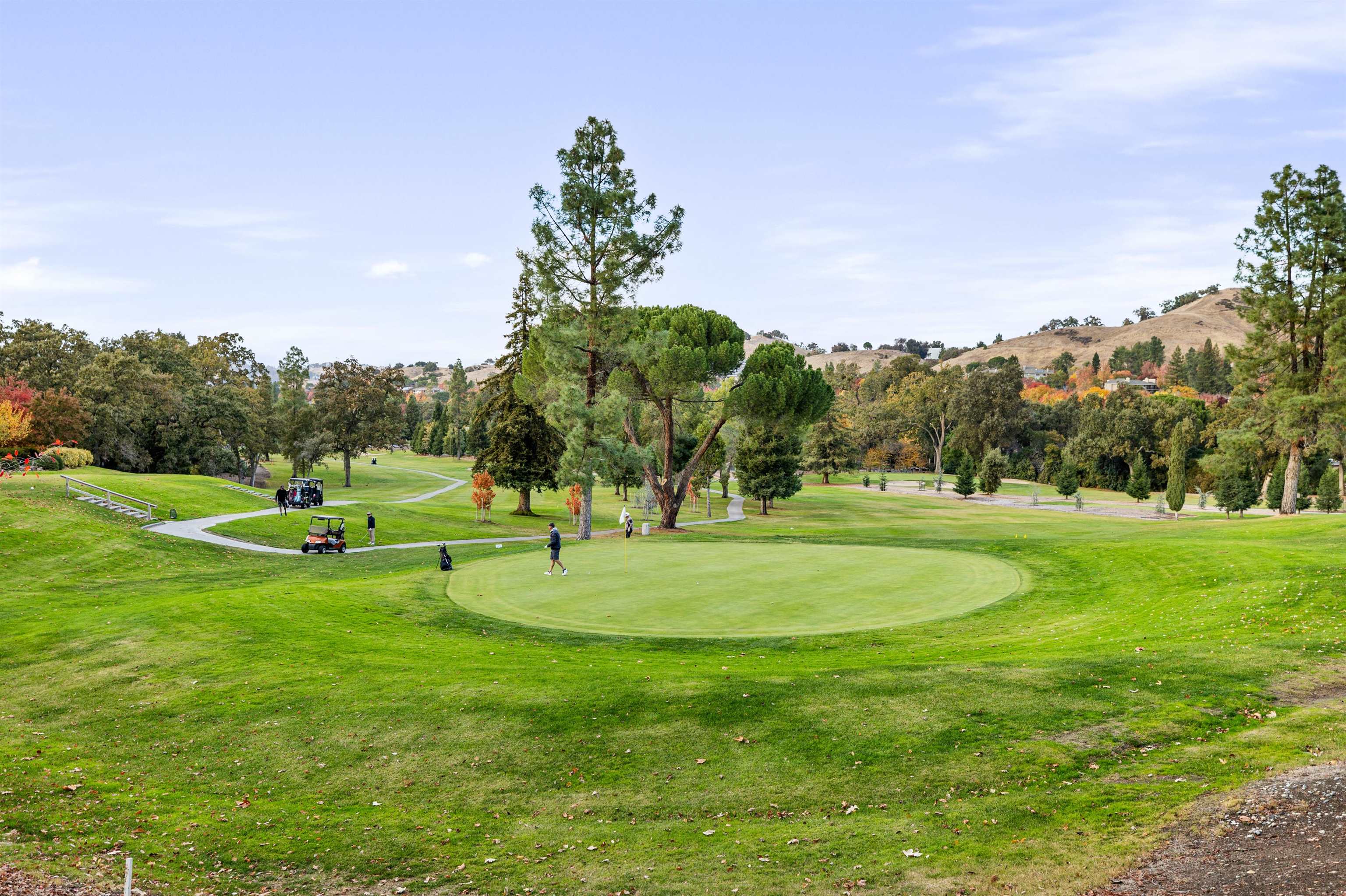 Photo #45: 41122707 Listing: Photo #45