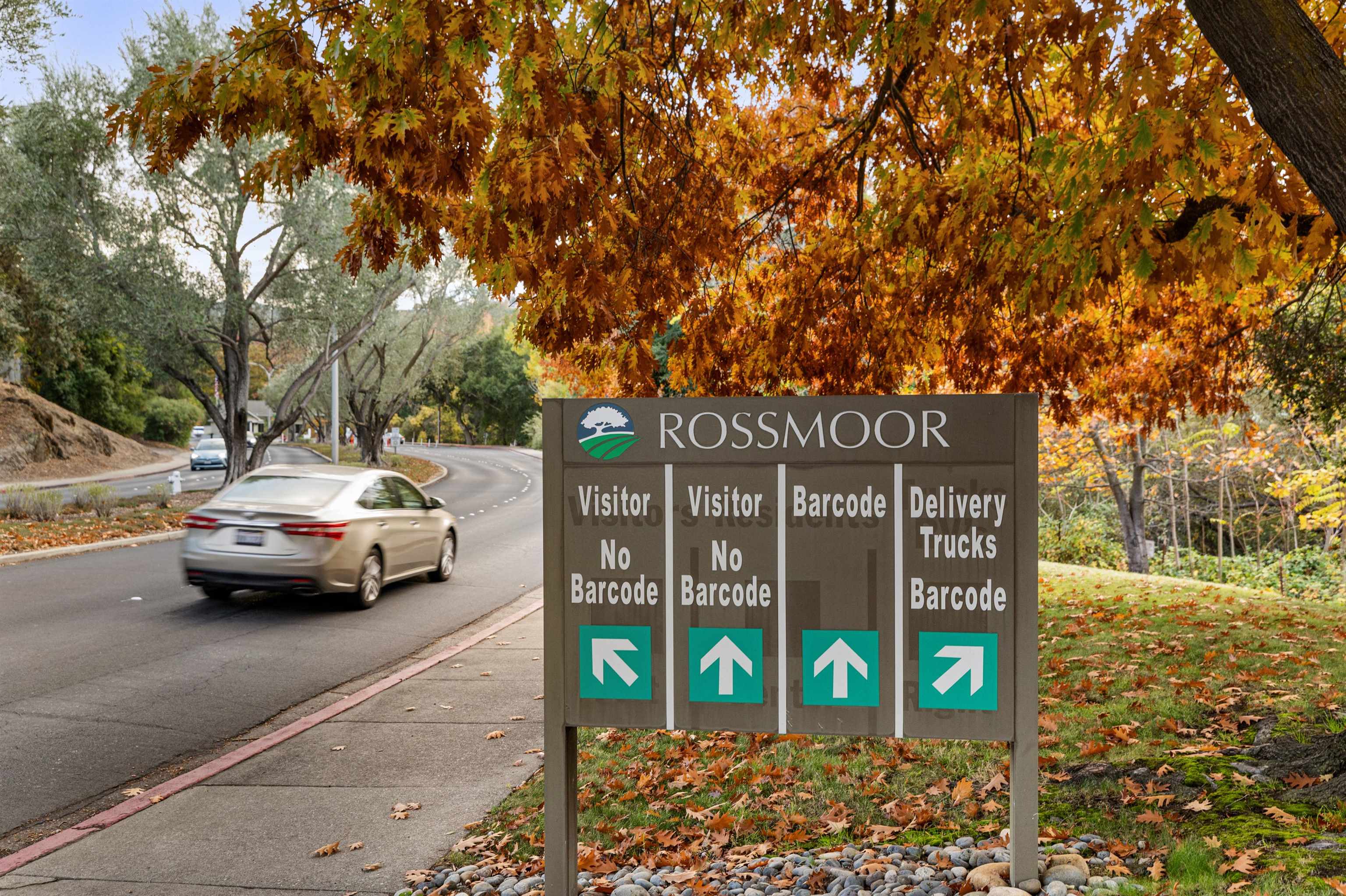 Photo #46: 41122707 Listing: Photo #46