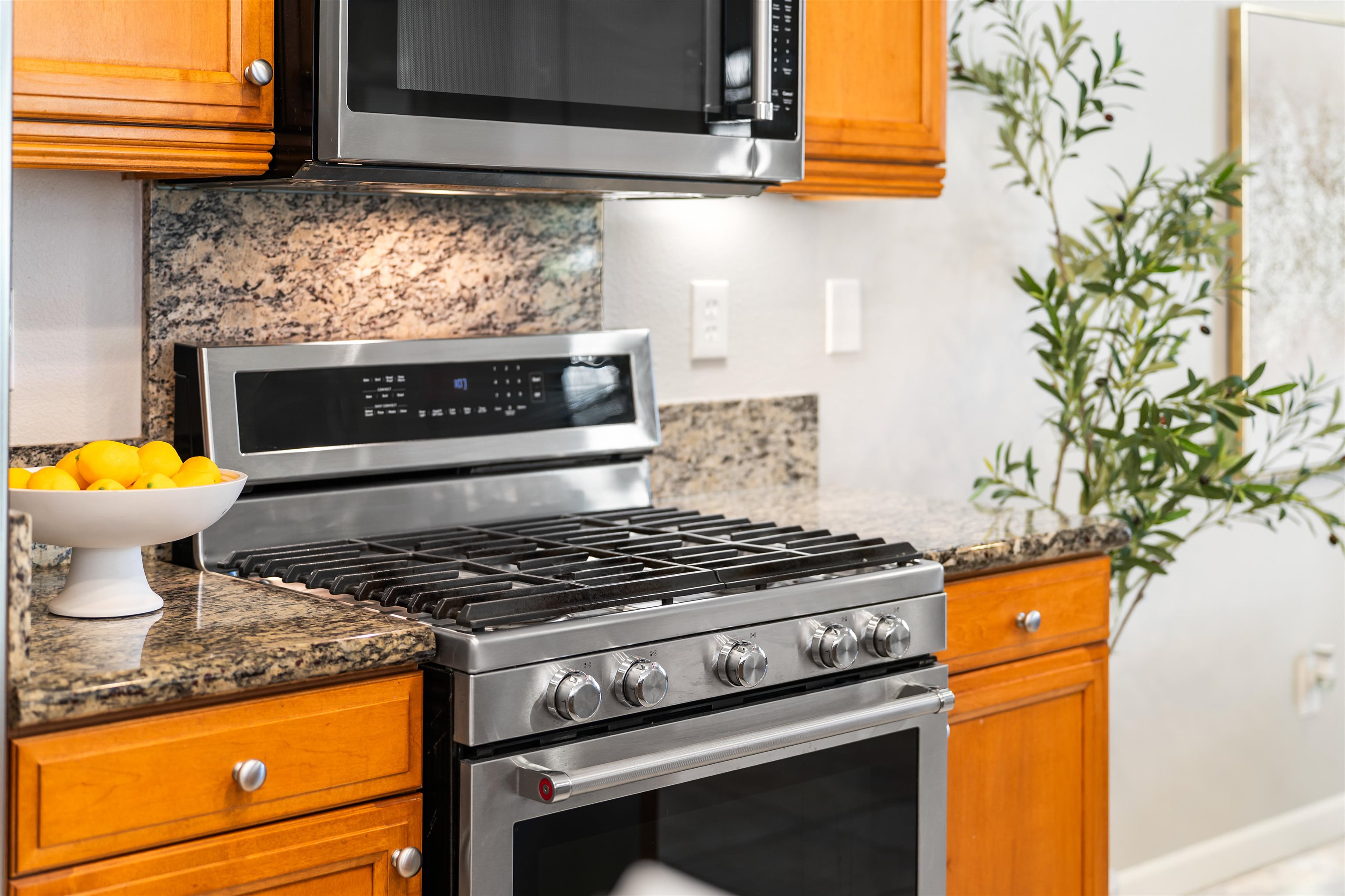 Detail Gallery Image 20 of 53 For 215 W Santa Cruz Way, Mountain House,  CA 95391 - 2 Beds | 2/1 Baths