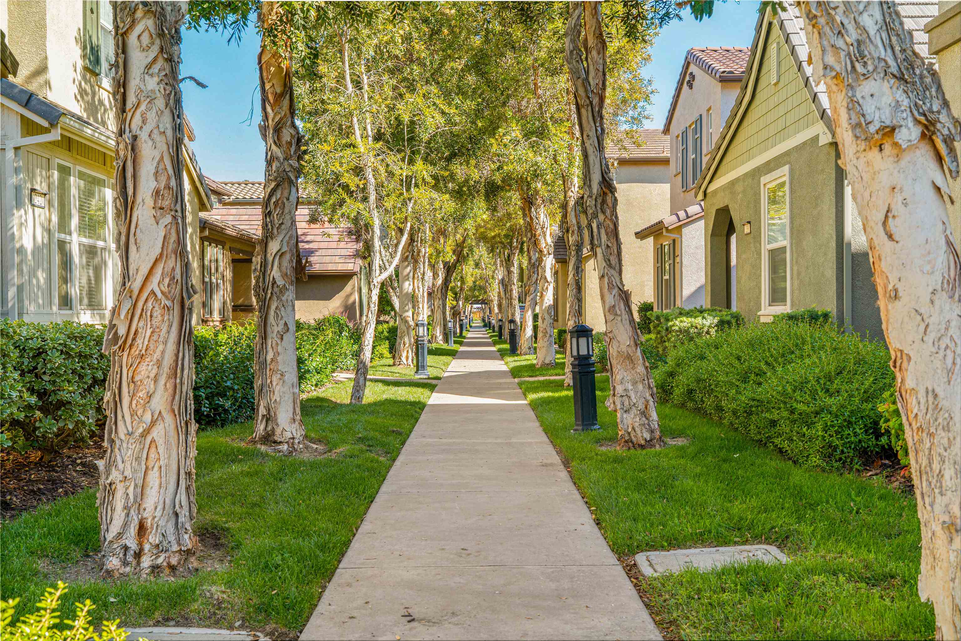 Detail Gallery Image 43 of 53 For 215 W Santa Cruz Way, Mountain House,  CA 95391 - 2 Beds | 2/1 Baths