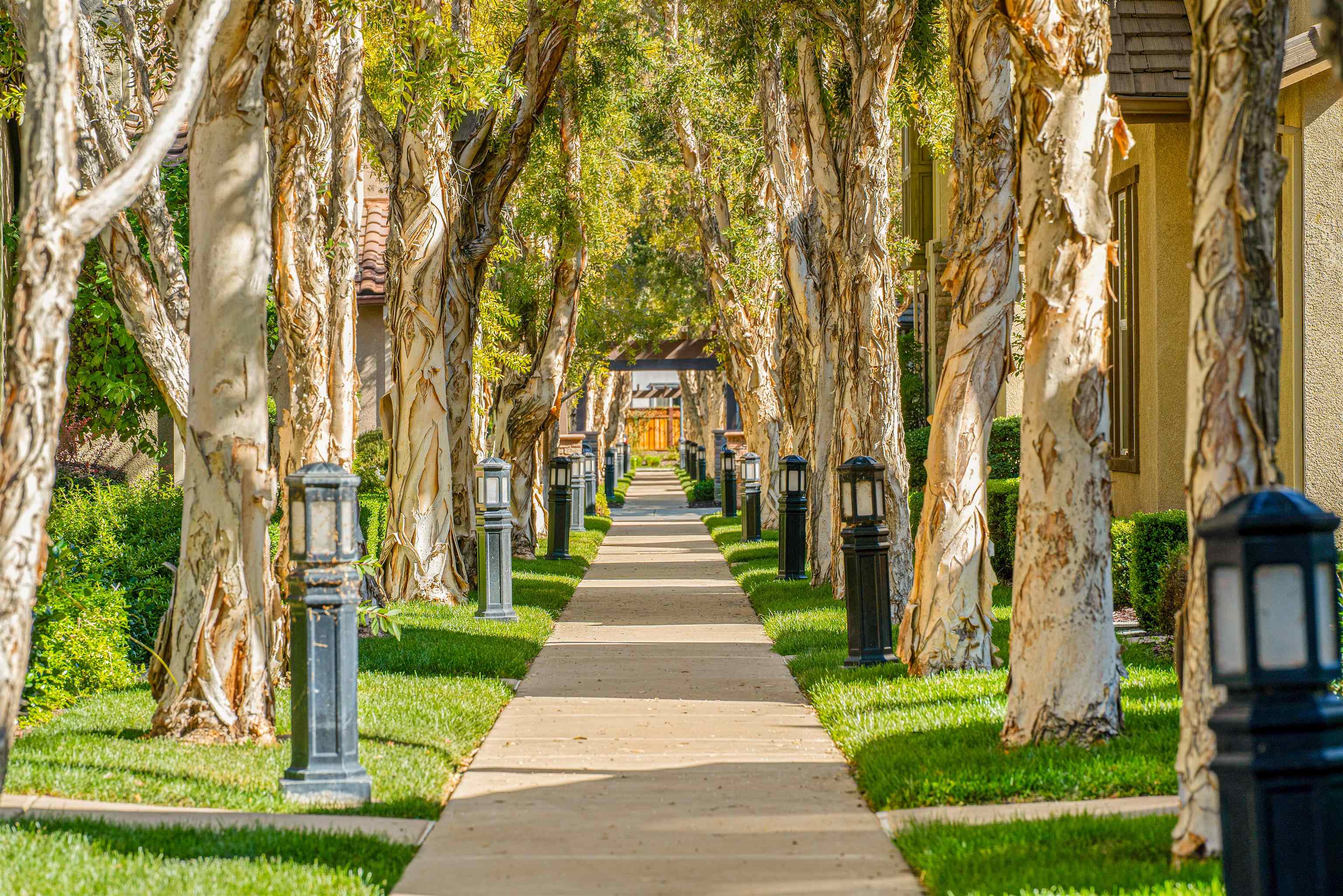 Detail Gallery Image 44 of 53 For 215 W Santa Cruz Way, Mountain House,  CA 95391 - 2 Beds | 2/1 Baths