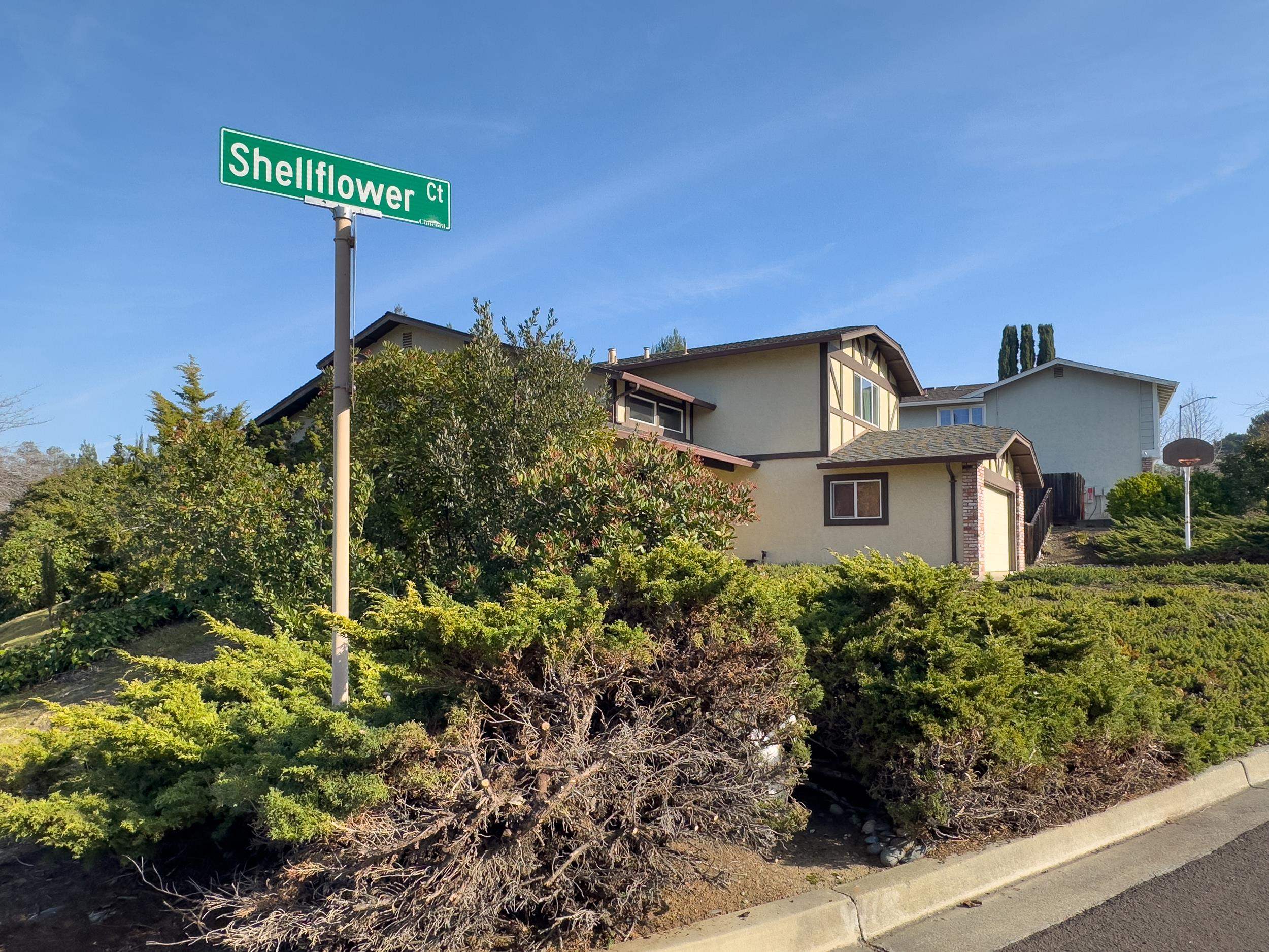 Detail Gallery Image 4 of 57 For 4501 Shellflower Ct, Concord,  CA 94518 - 4 Beds | 2/1 Baths