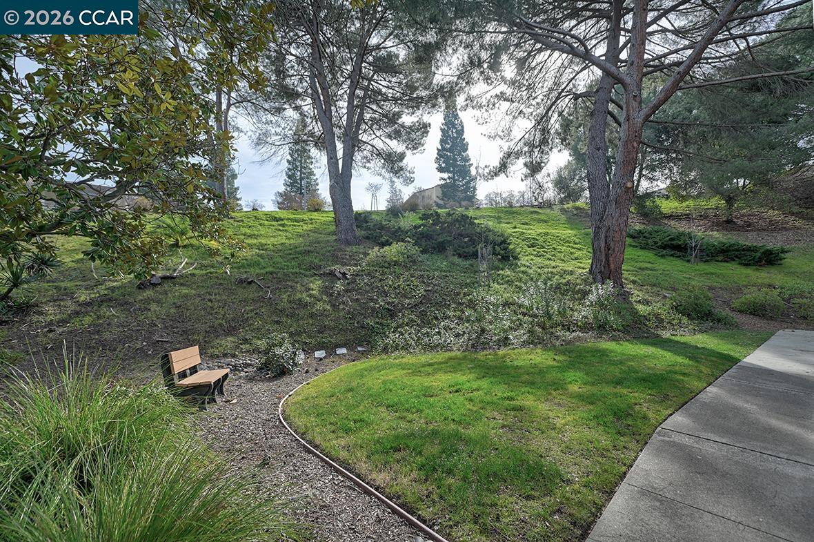 Photo #2: 41122734 Listing: Photo #2