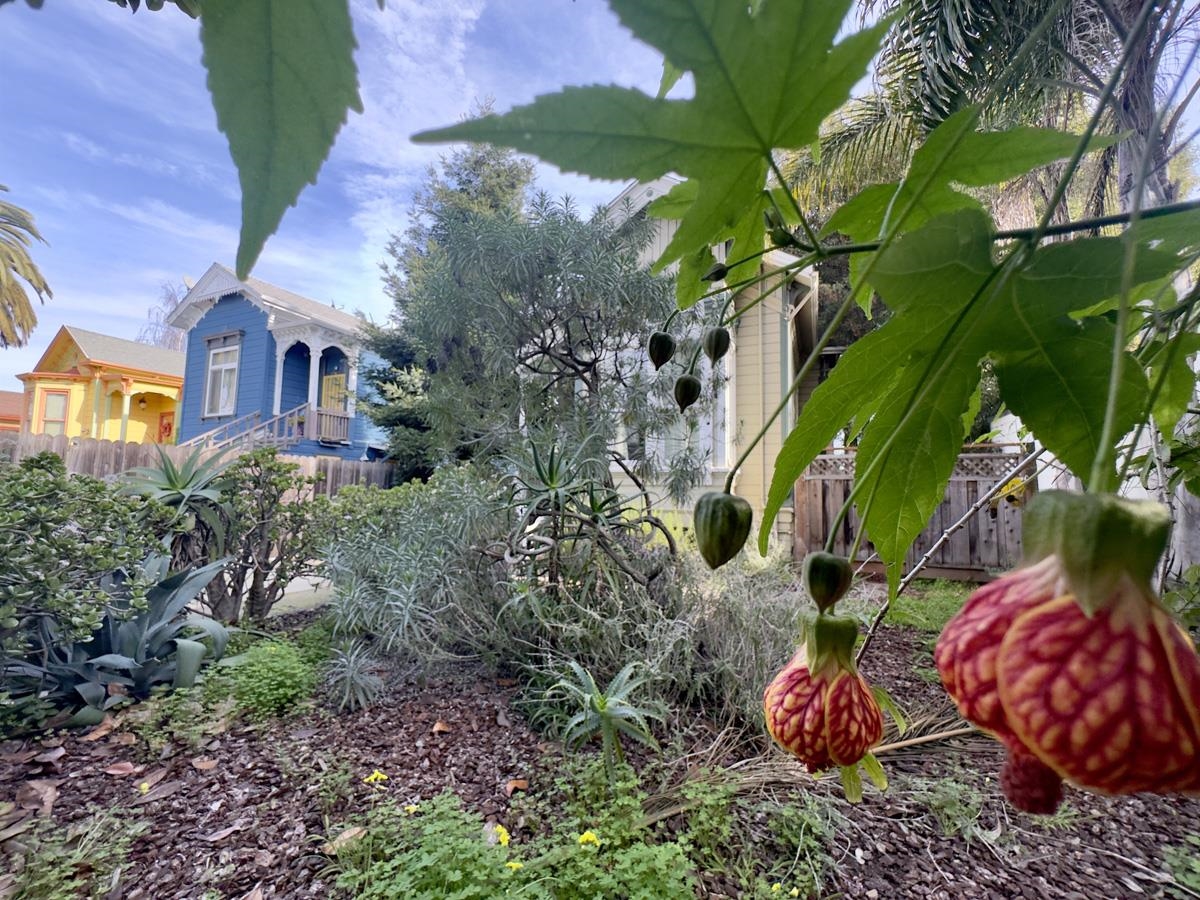 Detail Gallery Image 36 of 60 For 1022 Chestnut Street, Oakland,  CA 94607-2716 - 3 Beds | 2 Baths