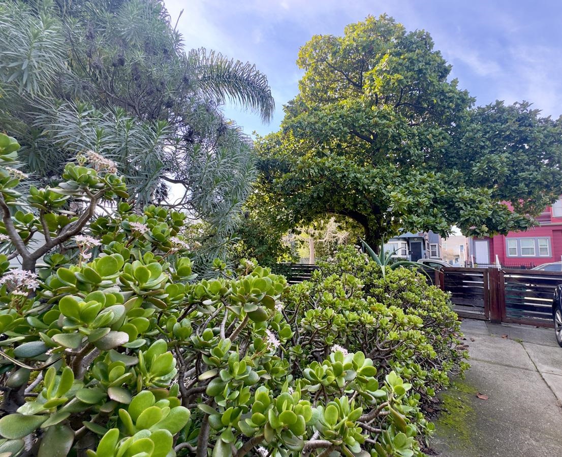 Detail Gallery Image 40 of 60 For 1022 Chestnut Street, Oakland,  CA 94607-2716 - 3 Beds | 2 Baths