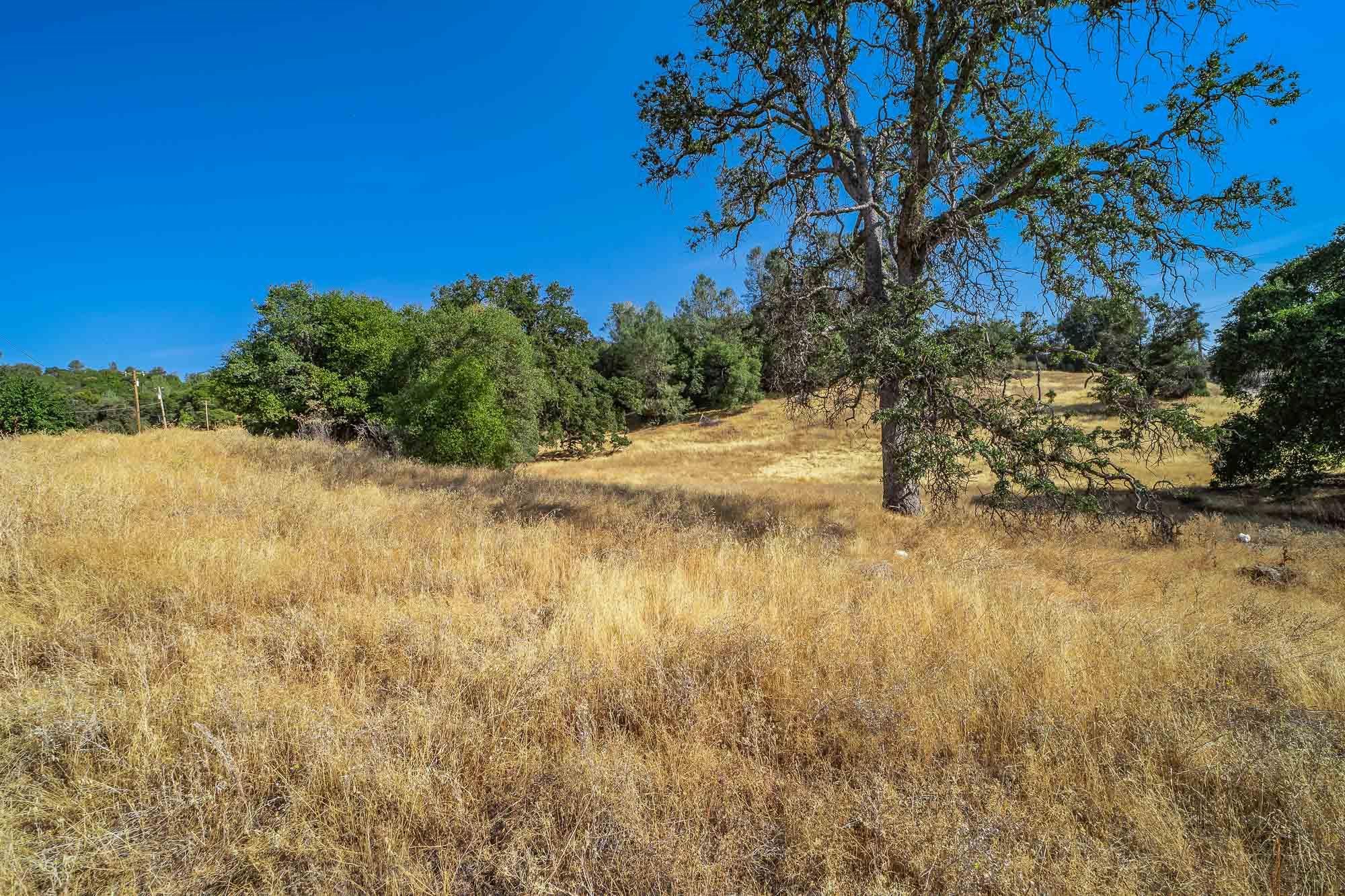 Detail Gallery Image 15 of 18 For 0 Sturgis Road, Sonora,  CA 95370 - – Beds | – Baths