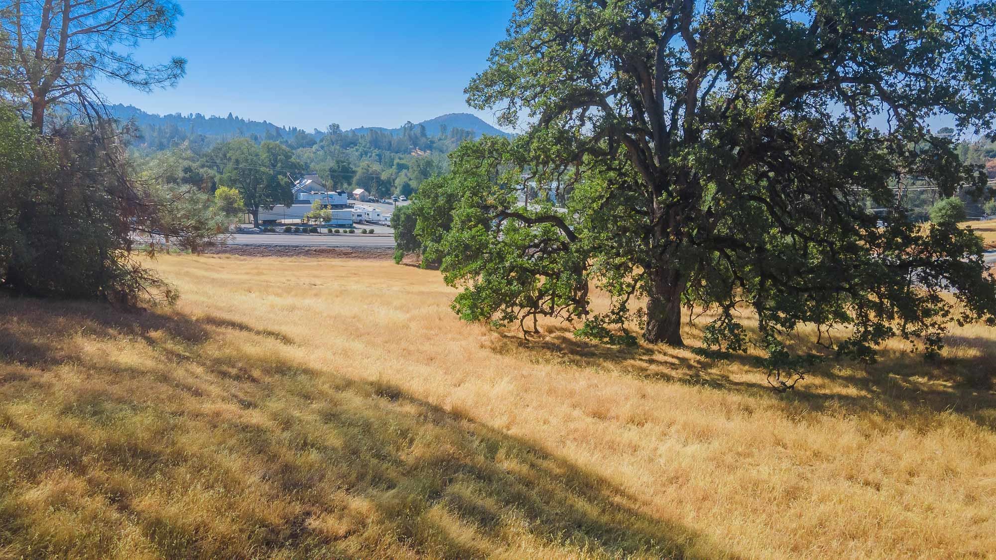 Detail Gallery Image 5 of 18 For 0 Sturgis Road, Sonora,  CA 95370 - – Beds | – Baths