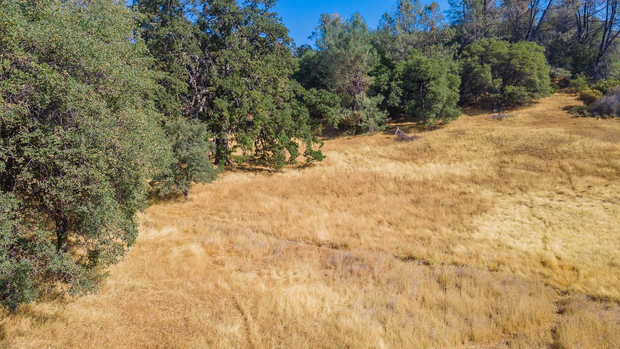 Detail Gallery Image 10 of 18 For 0 Sturgis Road, Sonora,  CA 95370 - – Beds | – Baths