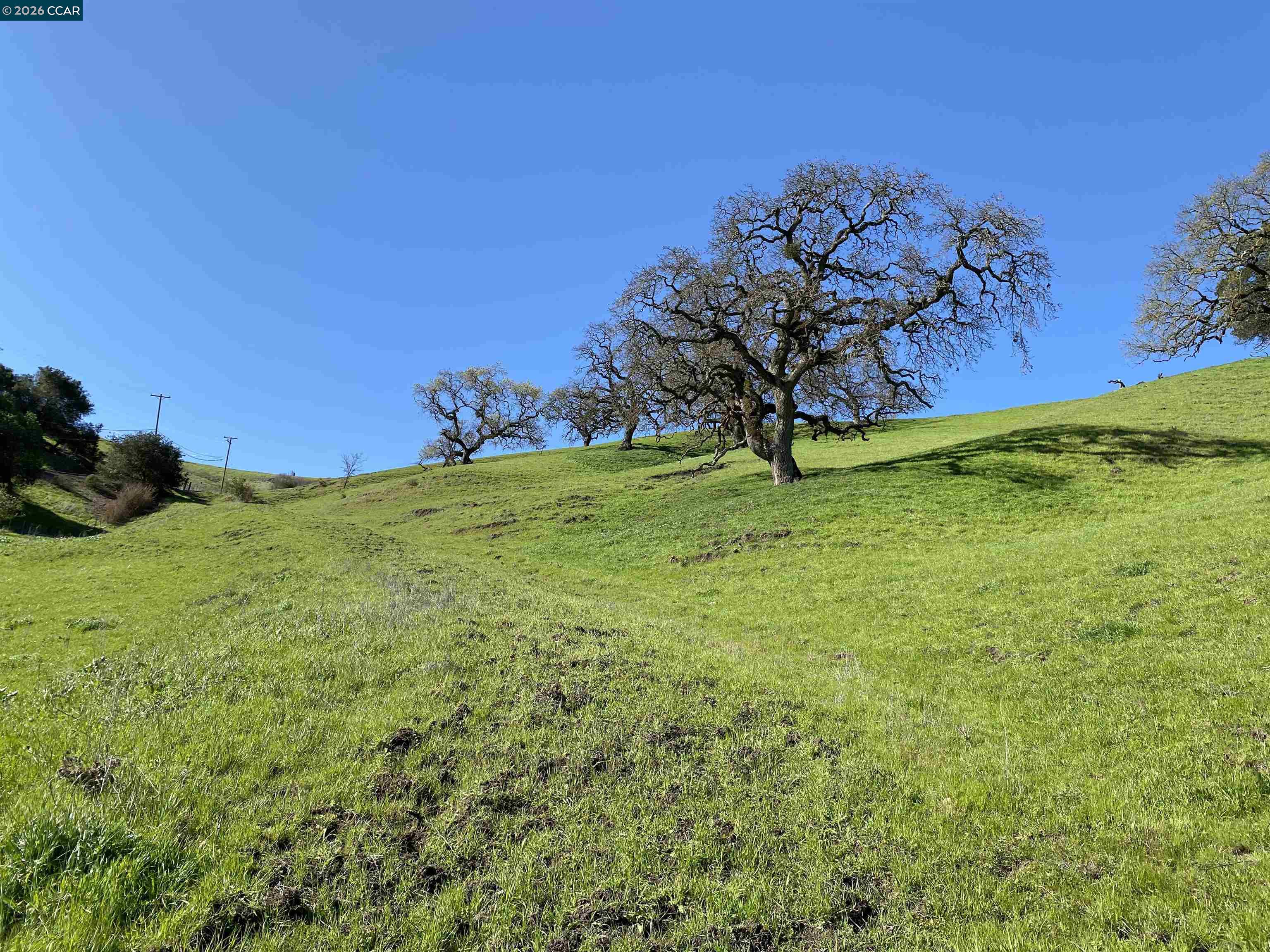 Detail Gallery Image 2 of 6 For 2490 Tassajara Ln, Danville,  CA 94526 - – Beds | – Baths