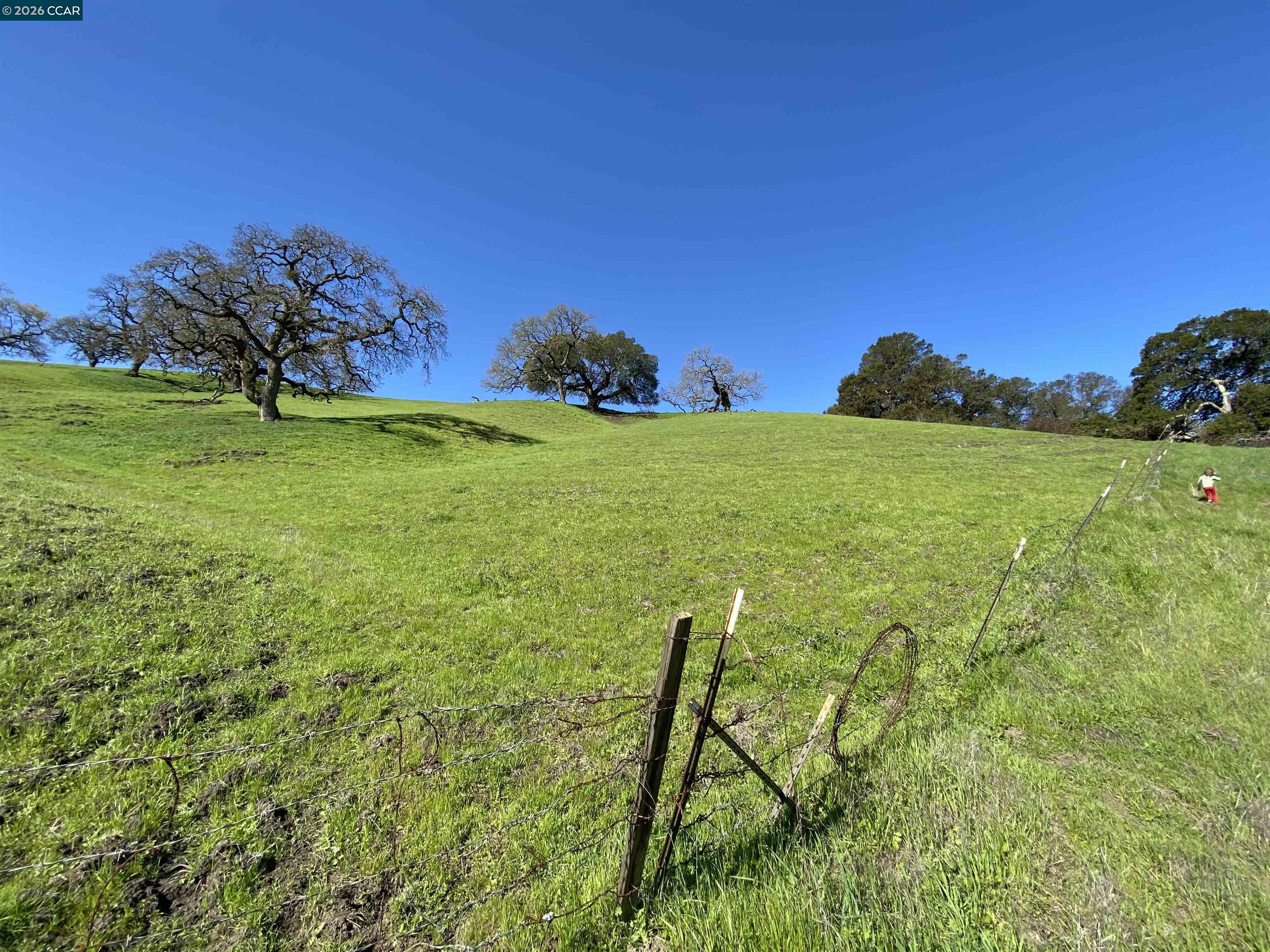 Detail Gallery Image 3 of 6 For 2490 Tassajara Ln, Danville,  CA 94526 - – Beds | – Baths