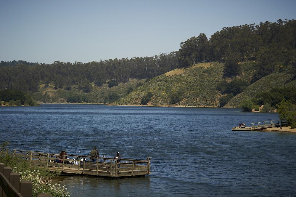 Detail Gallery Image 38 of 41 For 4515 Ewing Rd, Castro Valley,  CA 94546-1013 - 4 Beds | 2 Baths