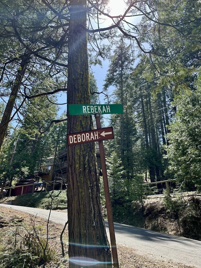 Detail Gallery Image 12 of 17 For 25352 Rebekah Road, –,  CA 95346 - – Beds | – Baths