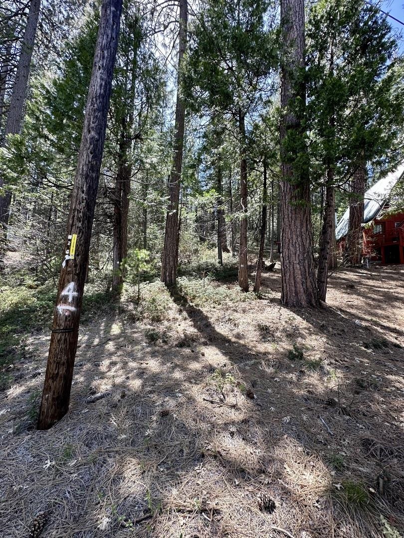 Detail Gallery Image 16 of 17 For 25352 Rebekah Road, –,  CA 95346 - – Beds | – Baths