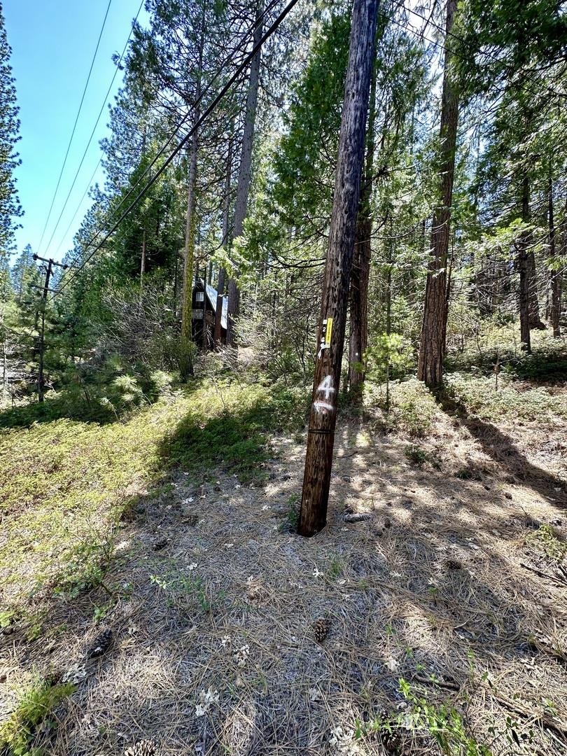 Detail Gallery Image 17 of 17 For 25352 Rebekah Road, –,  CA 95346 - – Beds | – Baths