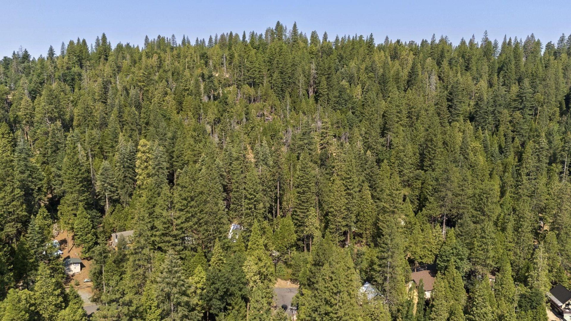 Detail Gallery Image 10 of 17 For 25352 Rebekah Road, –,  CA 95346 - – Beds | – Baths