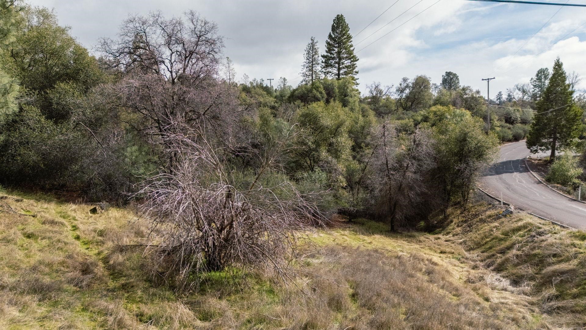 Detail Gallery Image 2 of 14 For 15870 Crestridge Ave, Sonora,  CA 95370 - – Beds | – Baths