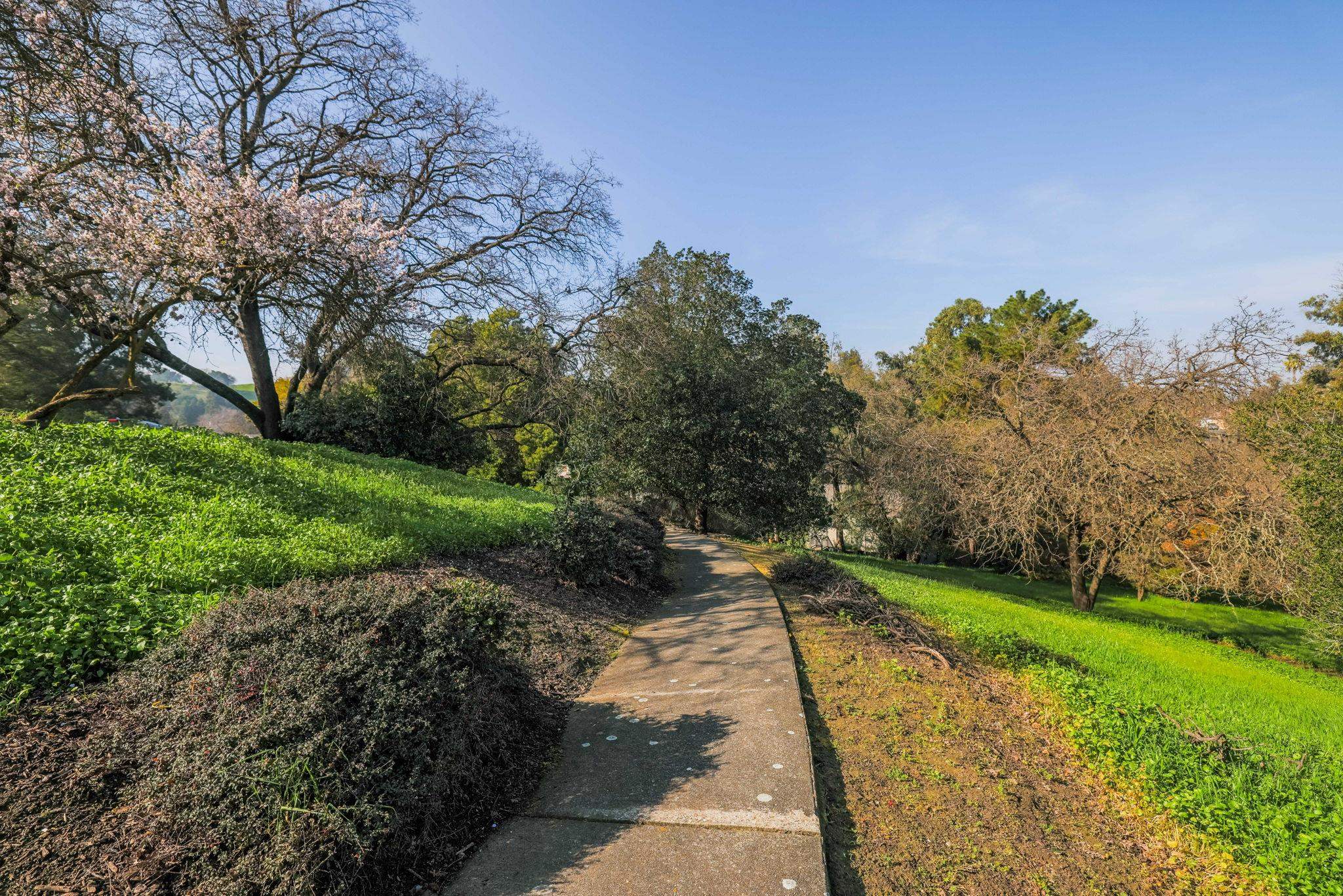 Detail Gallery Image 37 of 39 For 1444 Ashwood Drive, Martinez,  CA 94553 - 2 Beds | 1/1 Baths